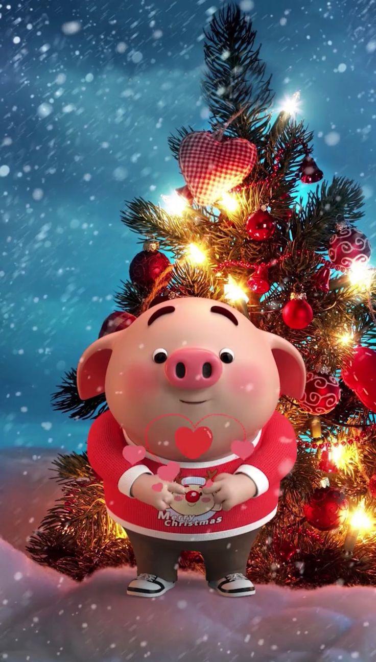 736x1296 ideas de Pig. cerditos, cerdo bebé, fondos lindos para celular