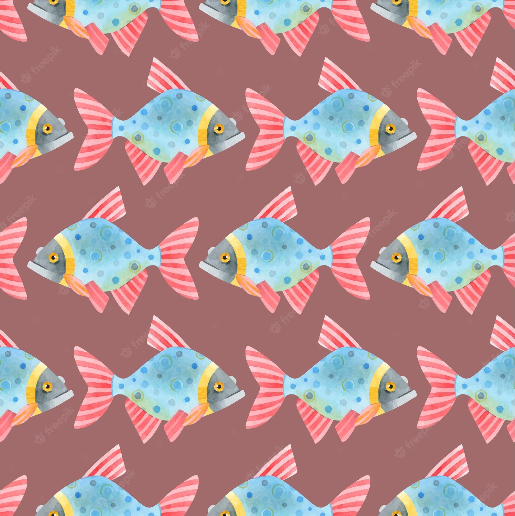Cute Cartoon Fish Wallpapers Top Free Cute Cartoon Fish Backgrounds