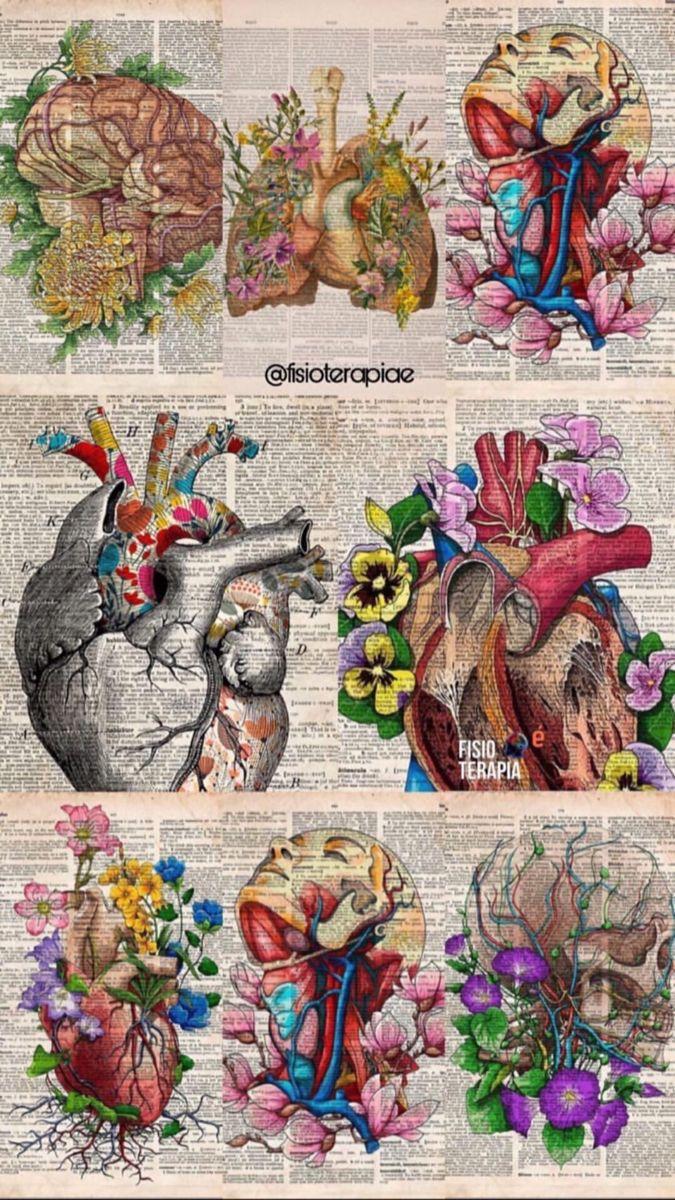 675x1200 fisioterapiae. Vintage medical art, Biology art, Vintage poster art
