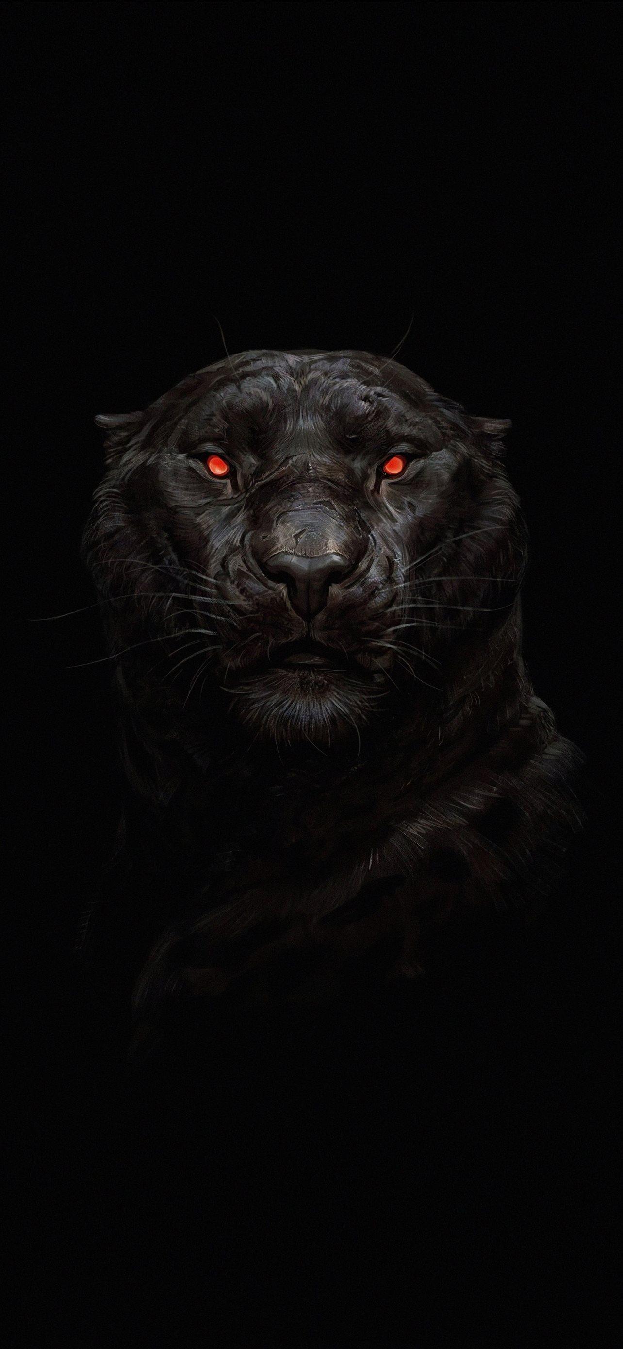 1284x2778 puma animal iPhone Wallpaper Free Download