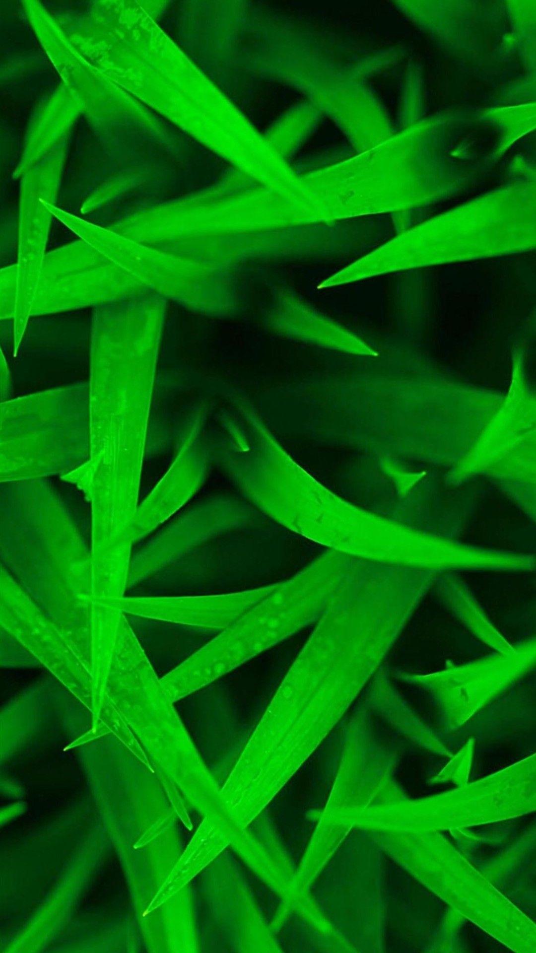 1080x1920 Htc Wallpaper HD 1080x1920 (224.26 KB)