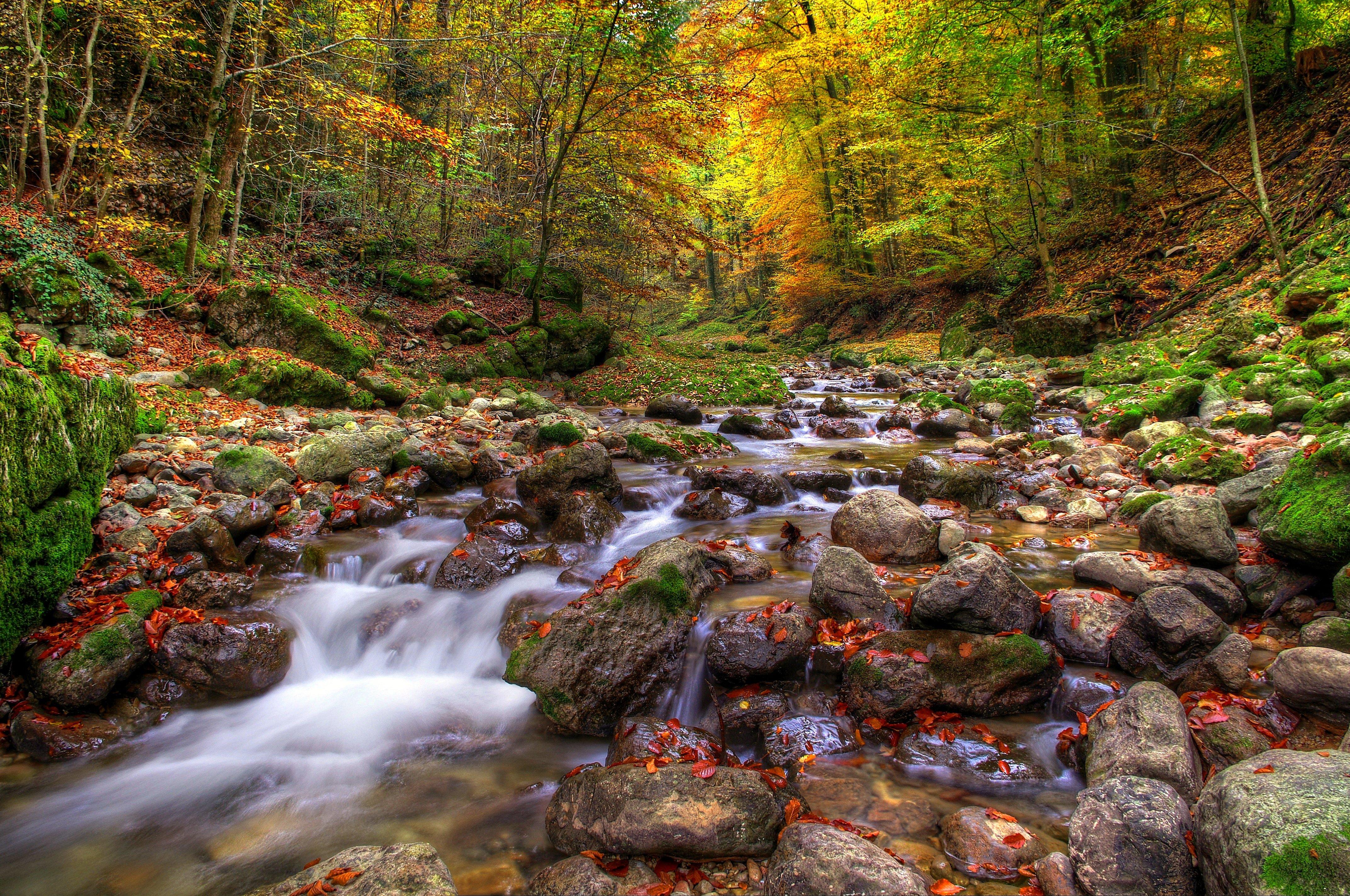 4287x2846 forests, Stones, Autumn, Stream, Nature Wallpaper HD / Desktop and Mobile Background