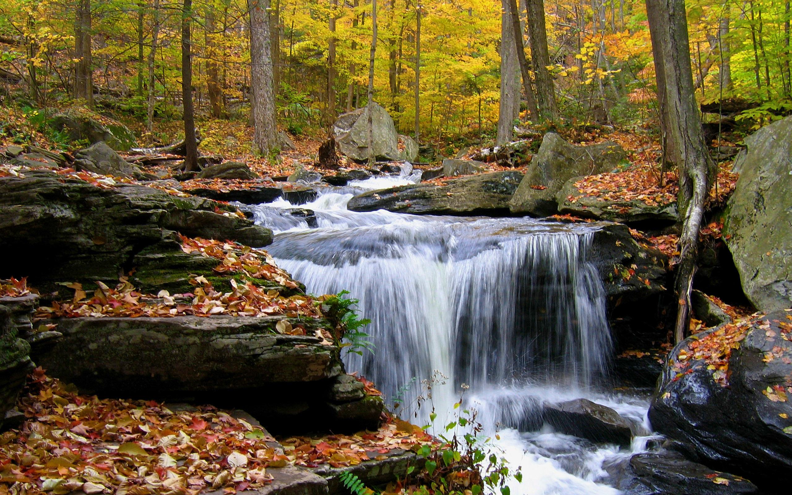 2560x1600 Stream Wallpaper