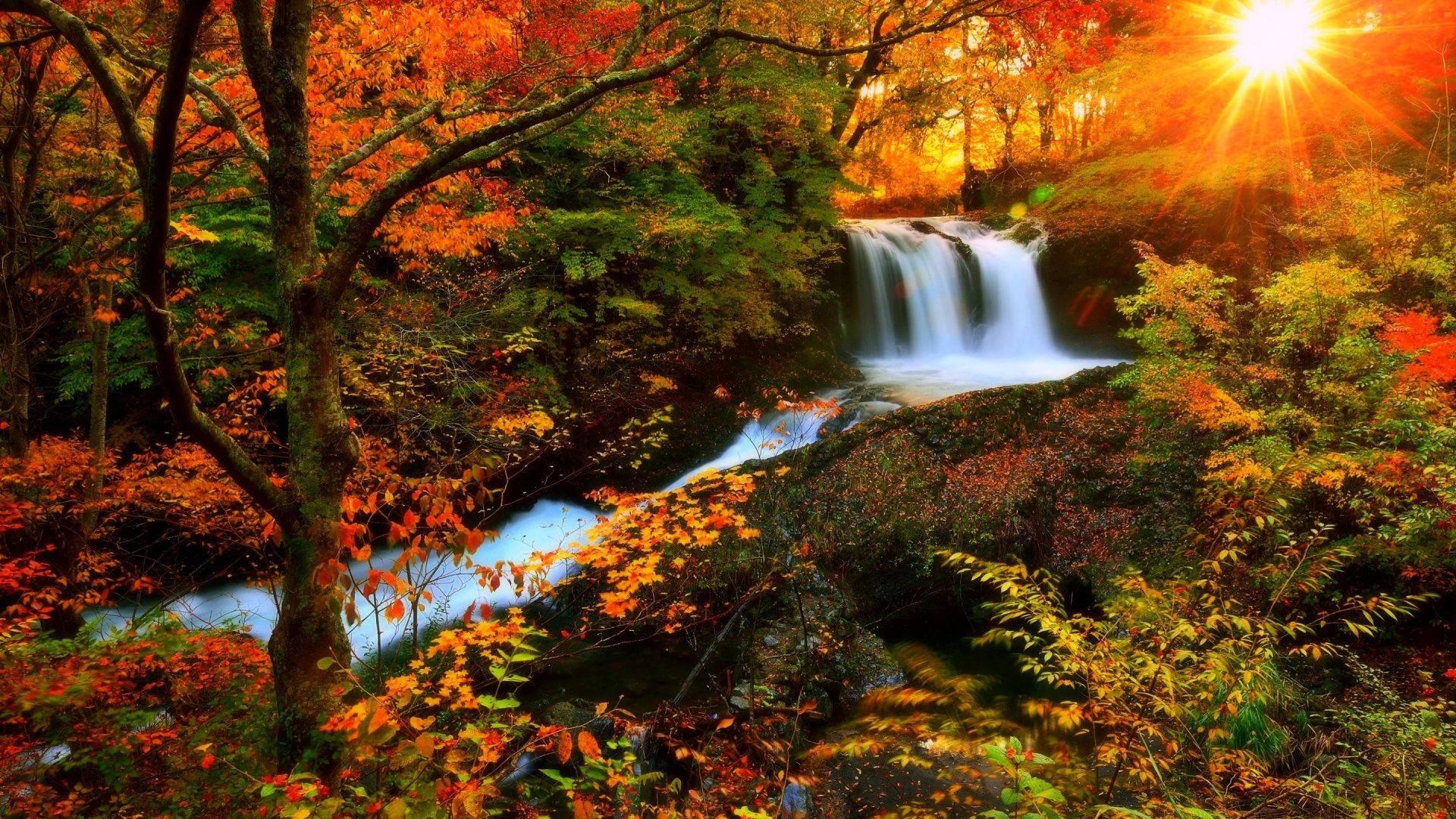 1920x1080 Download Autumn Season Stream Wallpaper