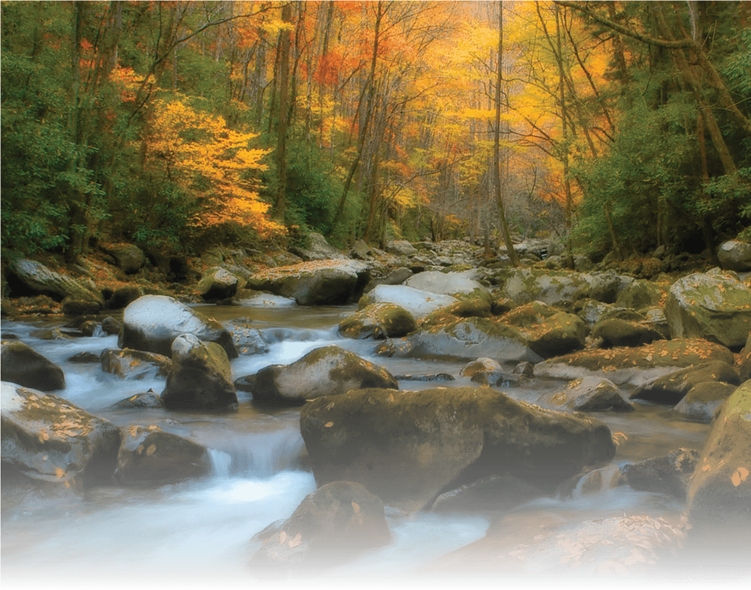 1481x1163 Download Autumn Stream Landscape Art Painting PNG Image with No Background