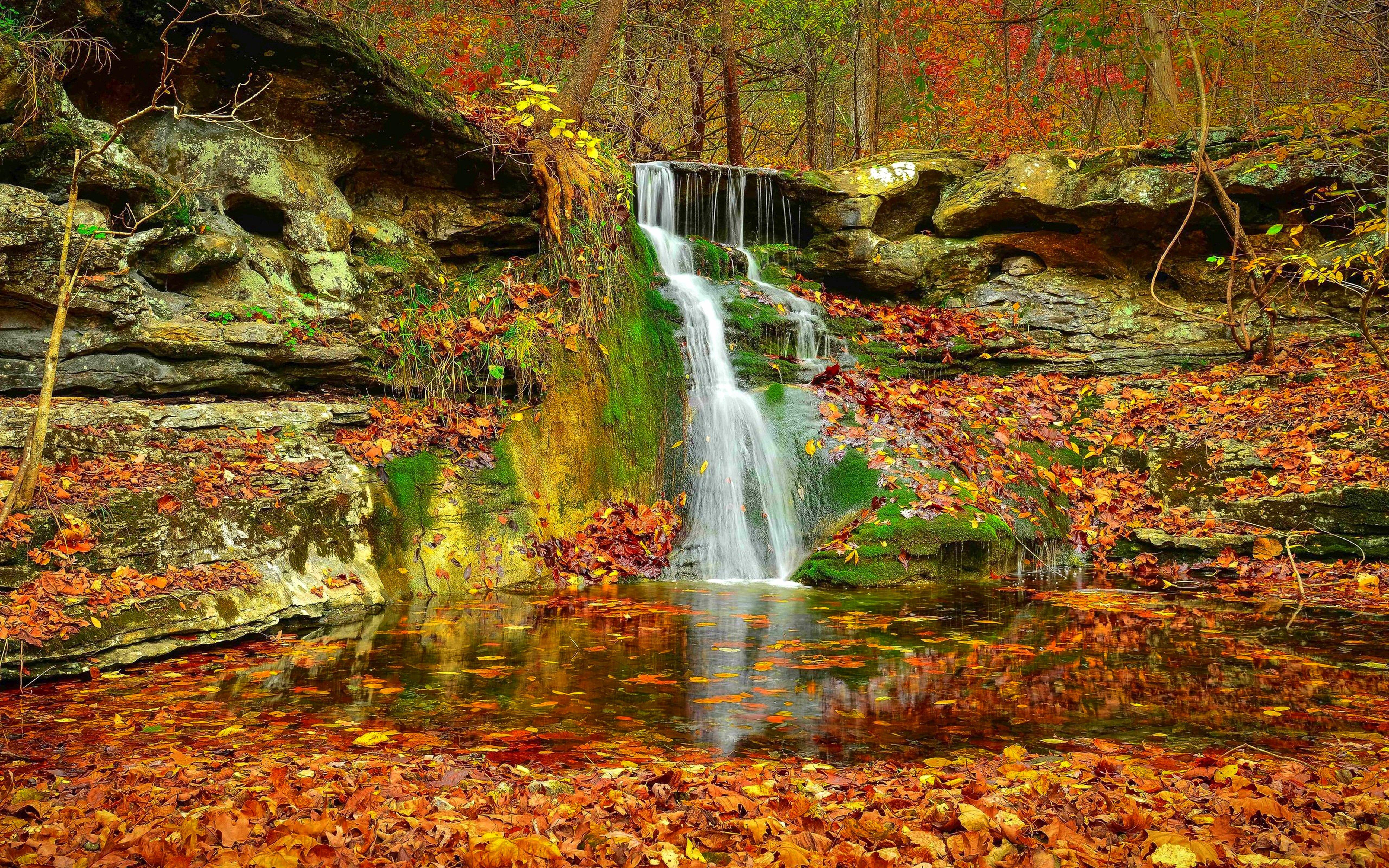 5120x3200 waterfall, Autumn, Lovely, Stream, Fall, Nature, Leaves, Beautiful, Rocks, Serenity, Forest, Colorful, Foliage Wallpaper HD / Desktop and Mobile Background