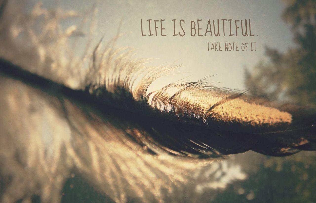 1280x825 Life is Beautiful Quotes, Sayings and Image