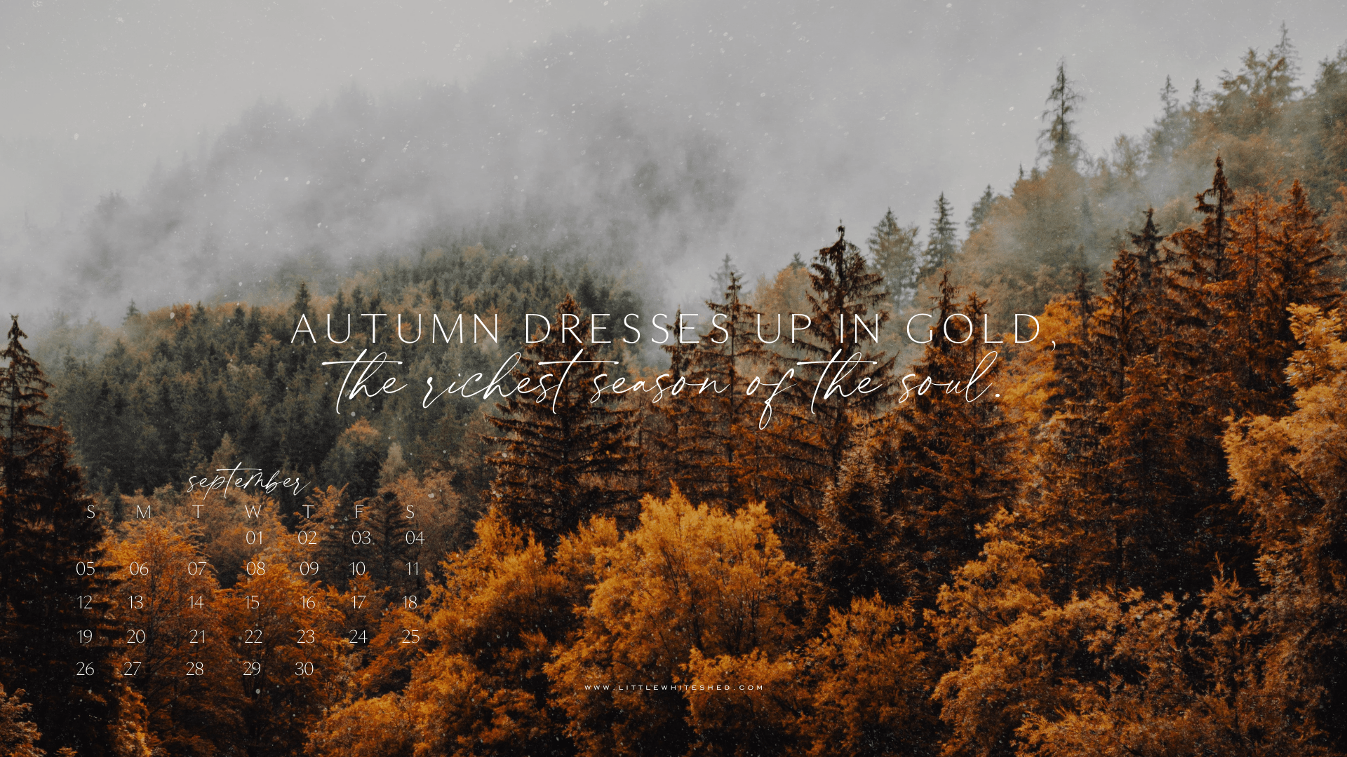 1920x1080 Free Download 2021 Desktop Wallpaper