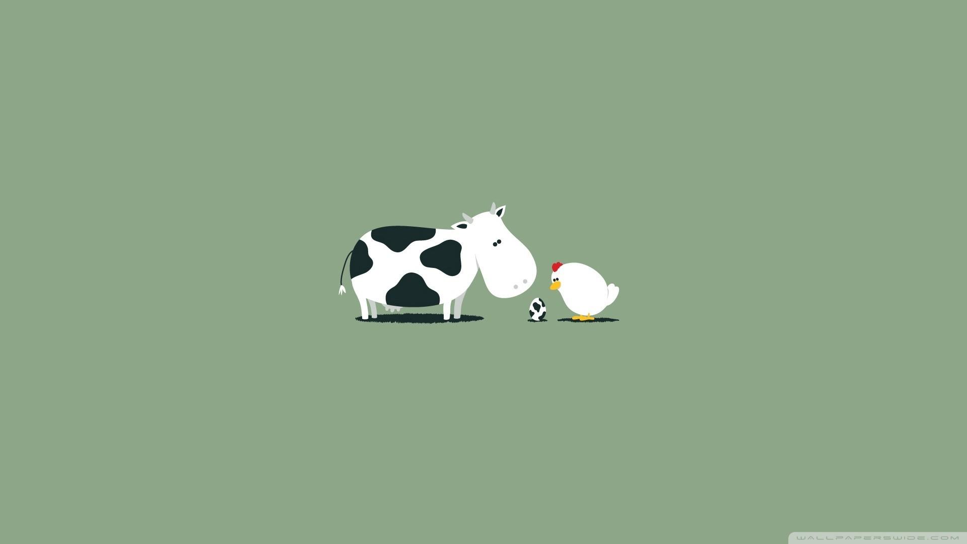 1920x1080 Wallpaper Funny