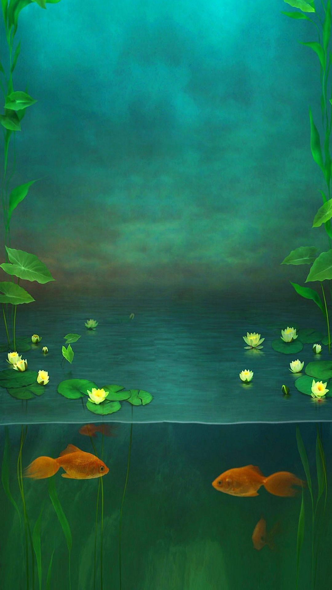 Fish Phone Wallpapers Top Free Fish Phone Backgrounds WallpaperAccess