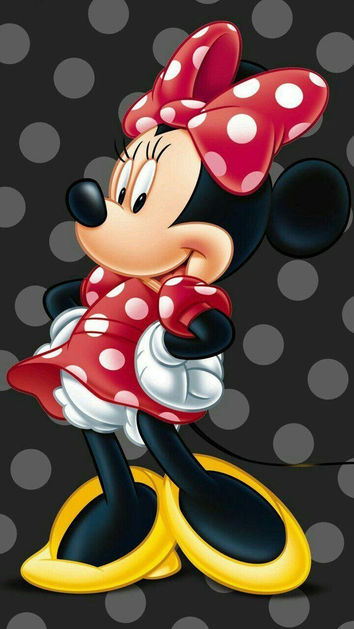 Minnie Mouse Polka Dot Wallpapers - Top Free Minnie Mouse ...