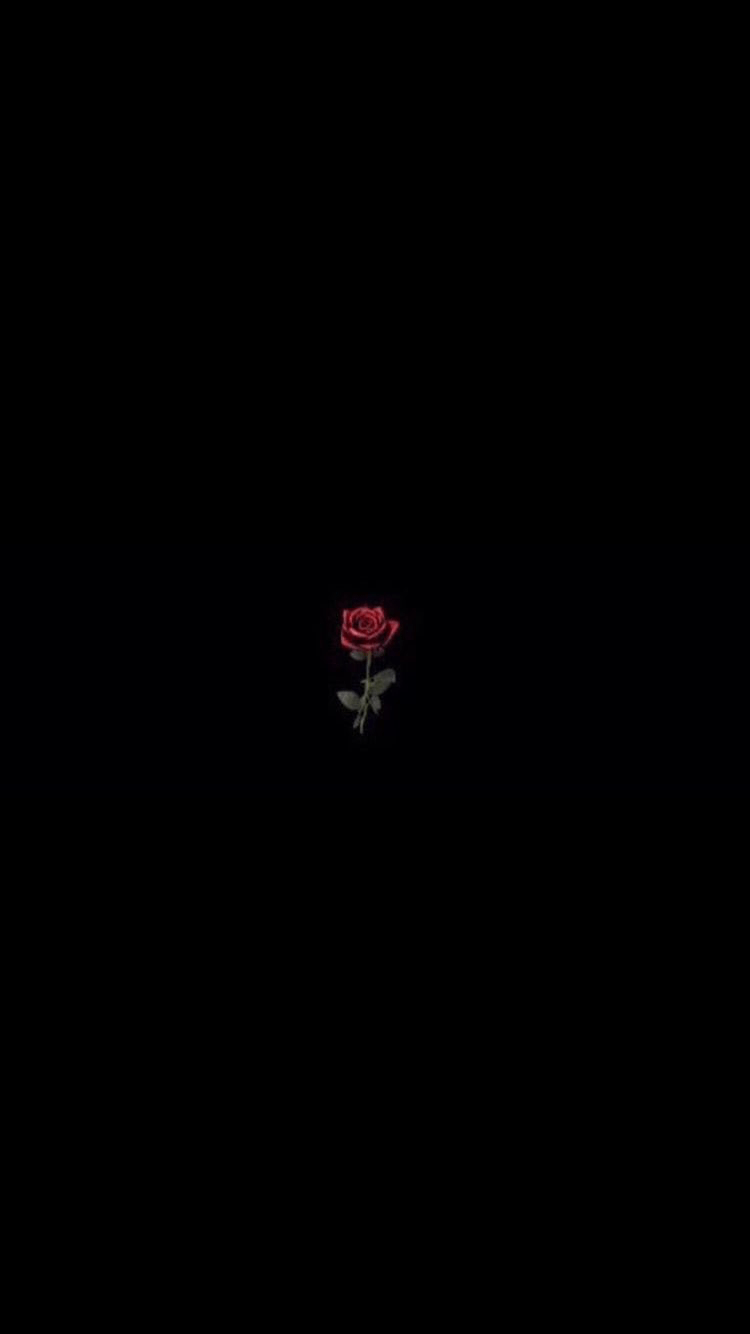 750x1334 Aesthetic Black Roses Wallpaper