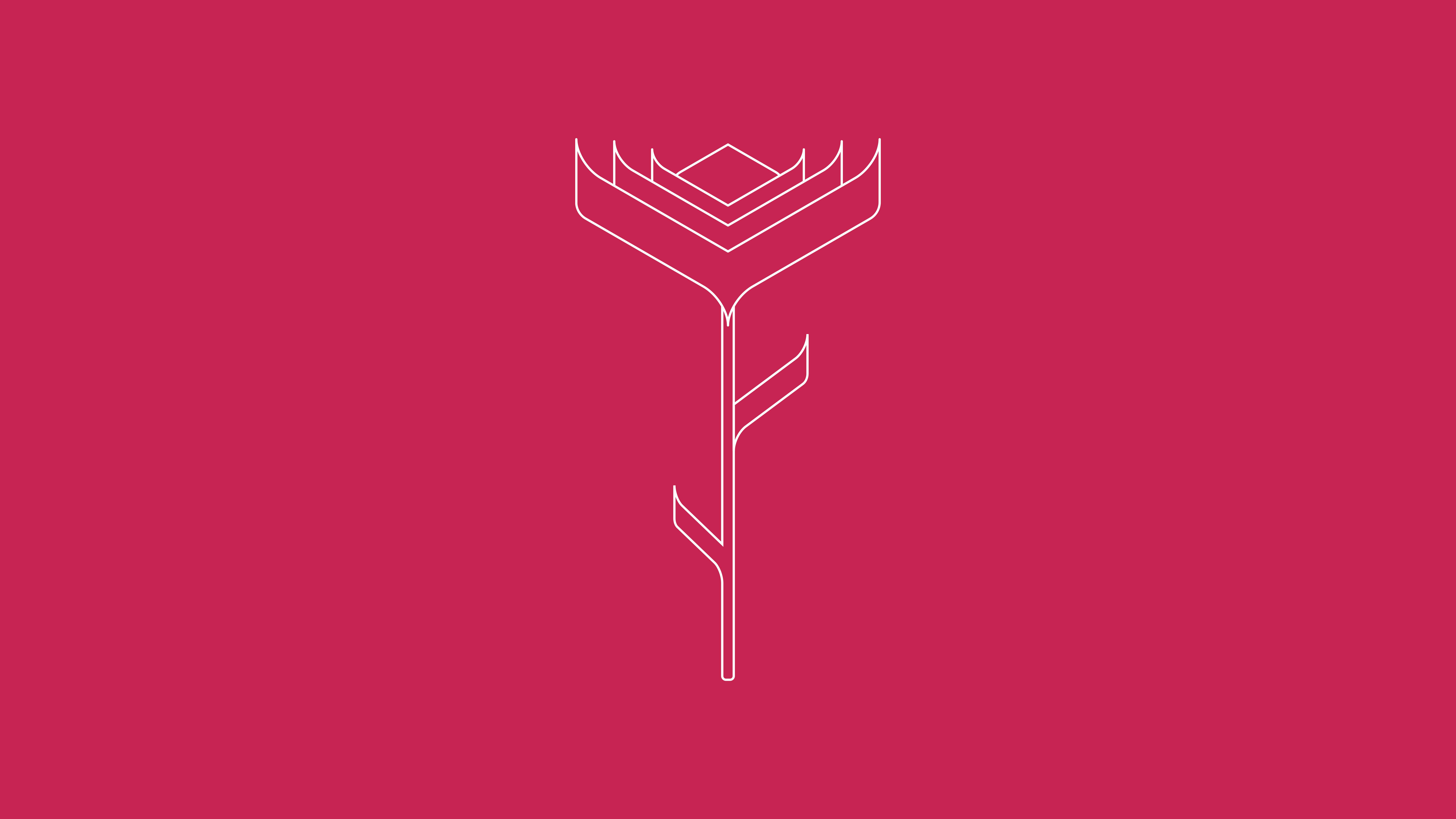 7680x4320 Pink Rose Minimalist Wallpaper, HD Minimalist 4K Wallpaper, Image, Photo and Background
