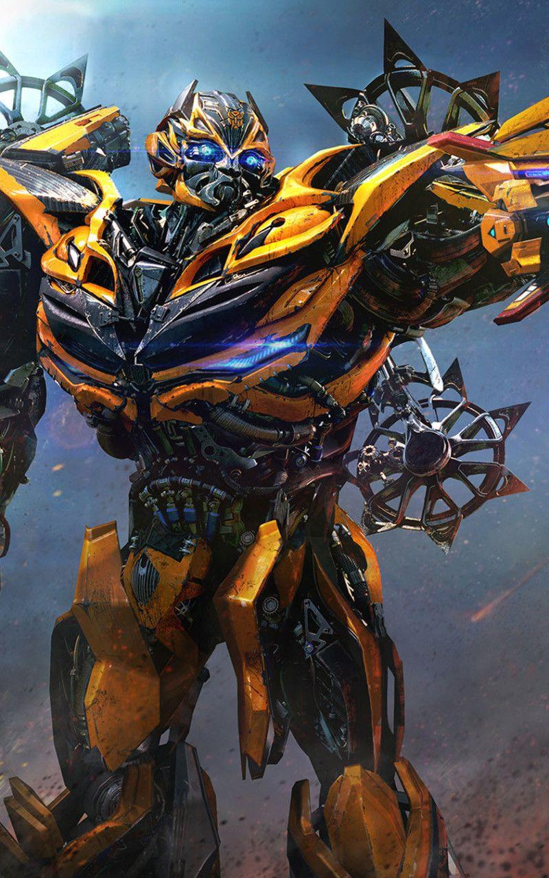 800x1280 Bumblebee Wallpaper