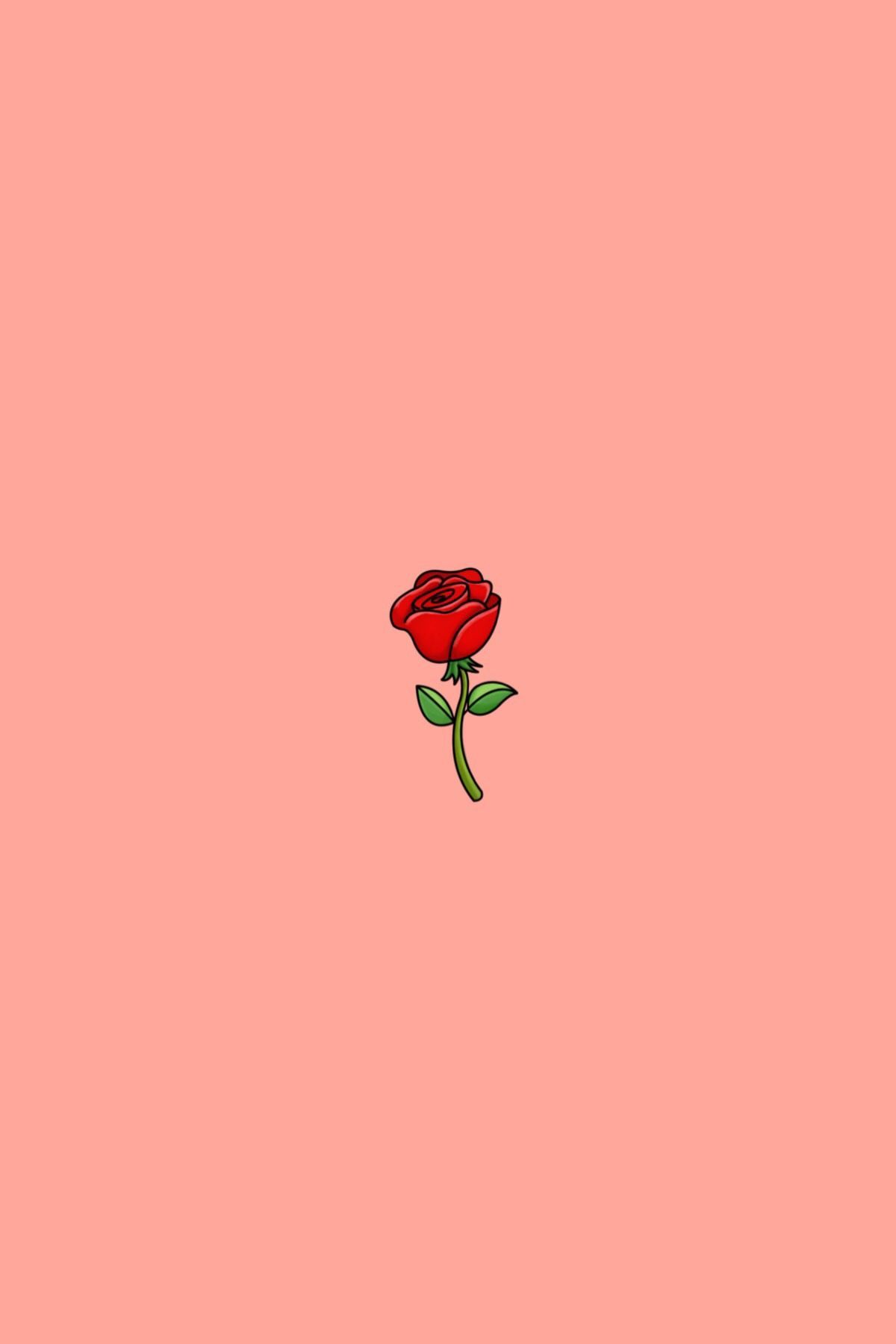 1200x1800 Aesthetic Rose Wallpaper HD