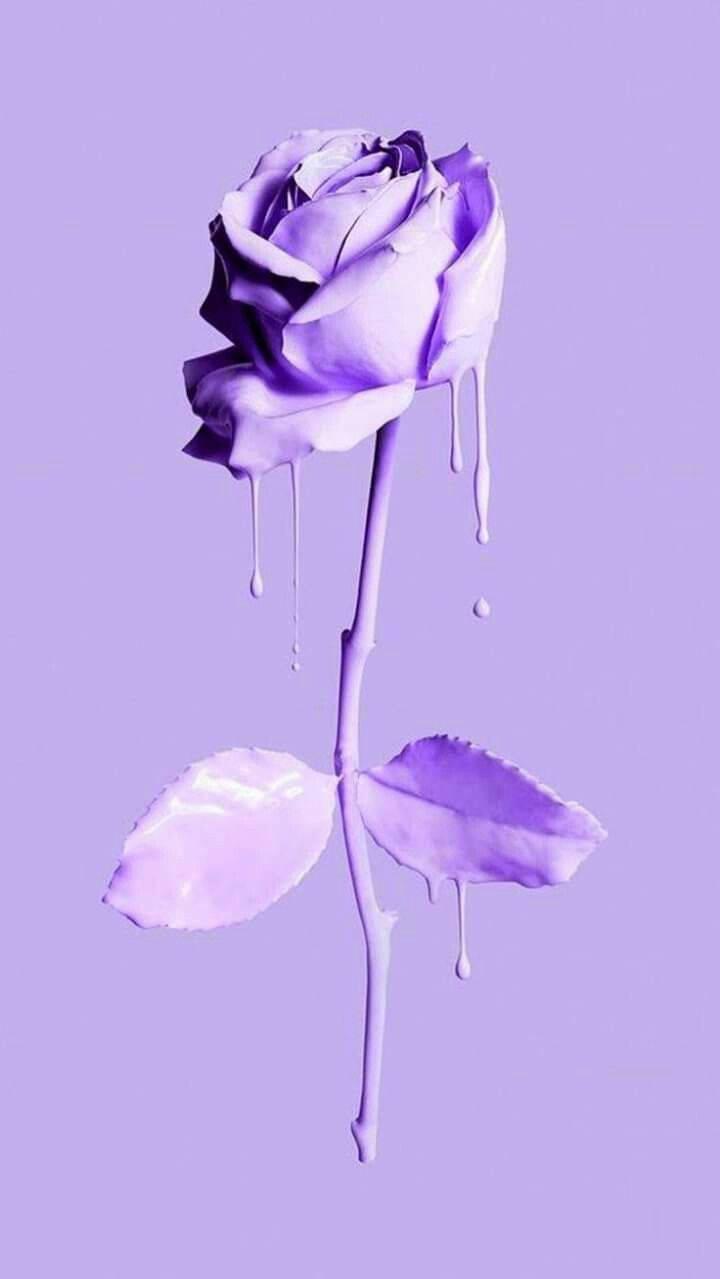 720x1279 Download Minimalist Purple Rose Drip Art Wallpaper