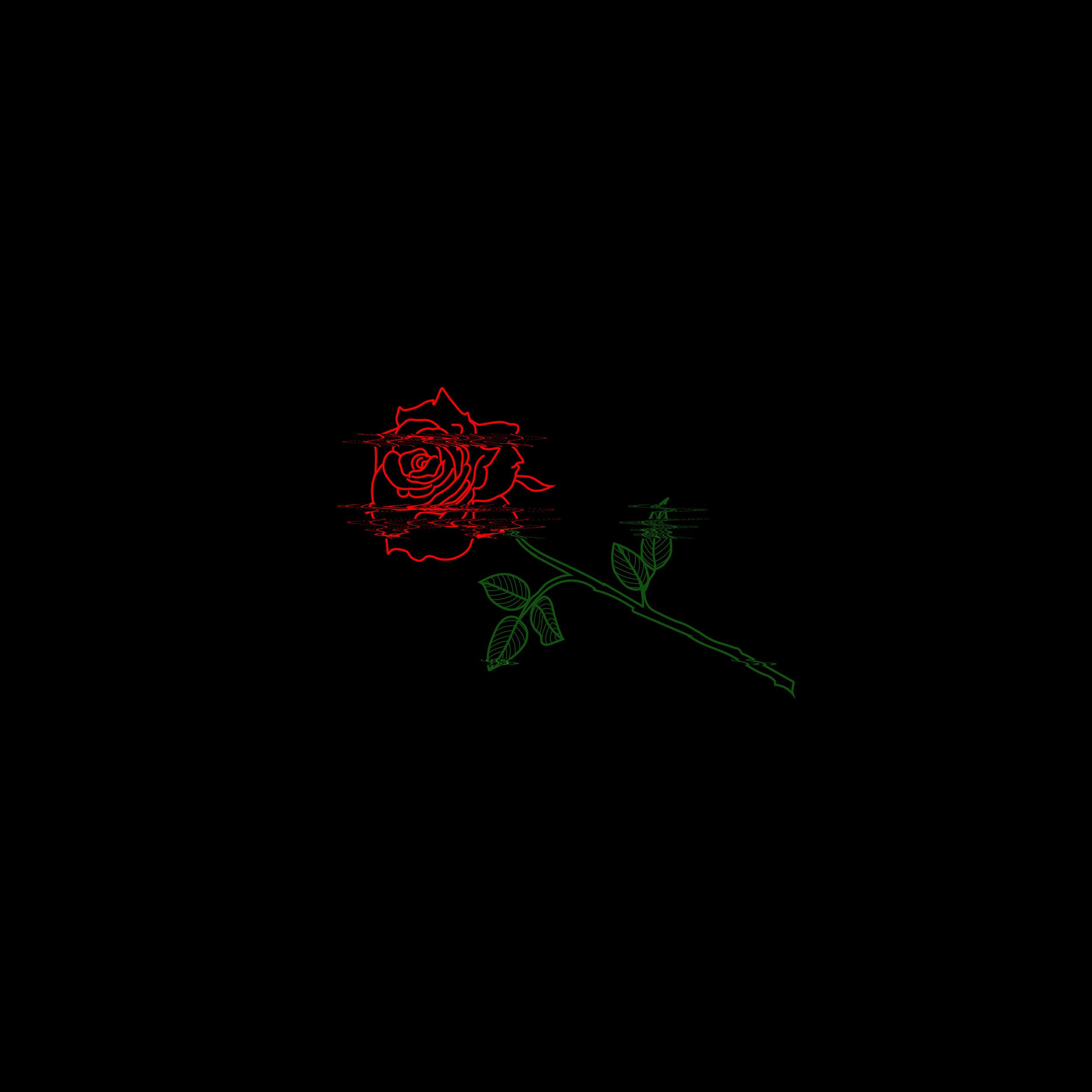 2500x2500 Shadow Jenkins