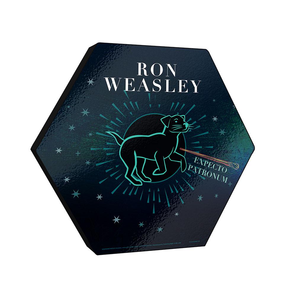 1000x1000 Harry Potter (Patronus Weasley) Knexagon™ Wood Print WPHEX0466HPAR