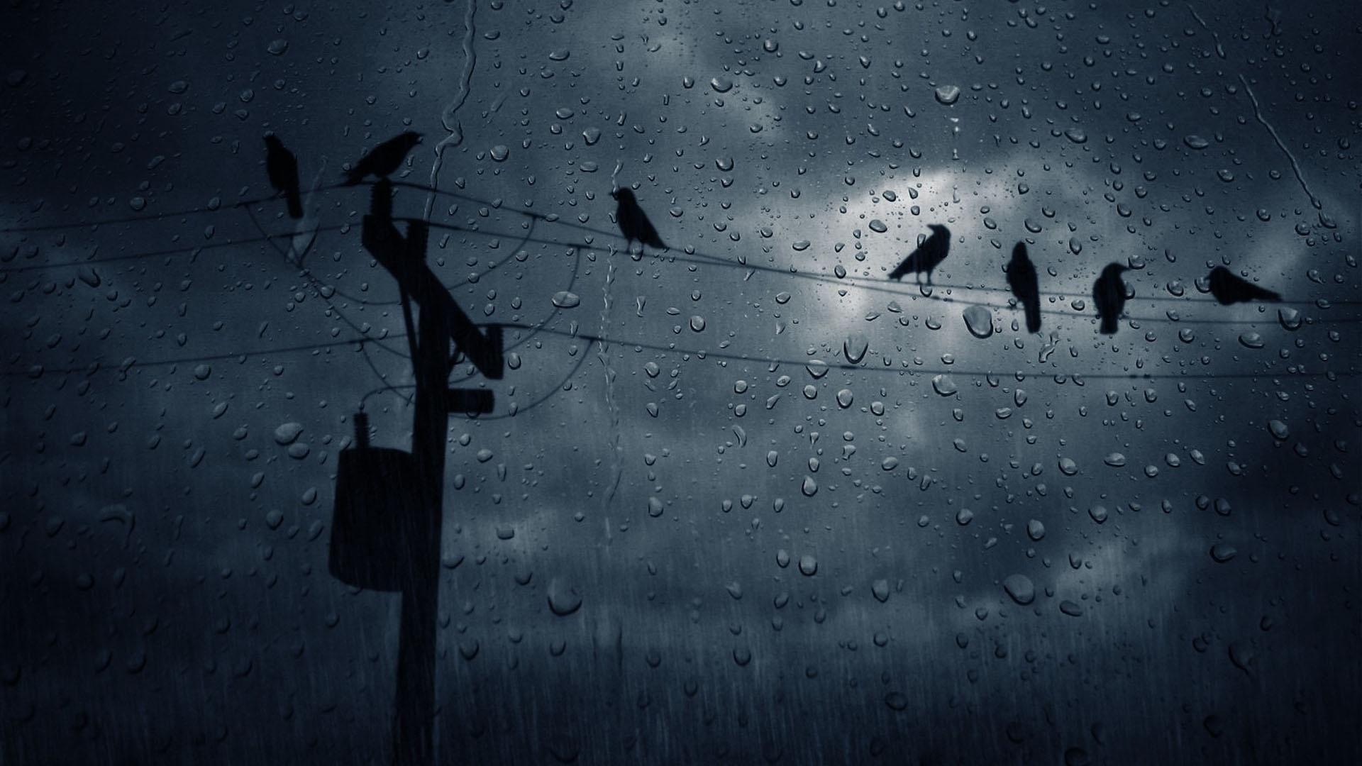 1920x1080 Wallpaper i'd rather not lose. Rain wallpaper, Rainy day wallpaper, Rain photography