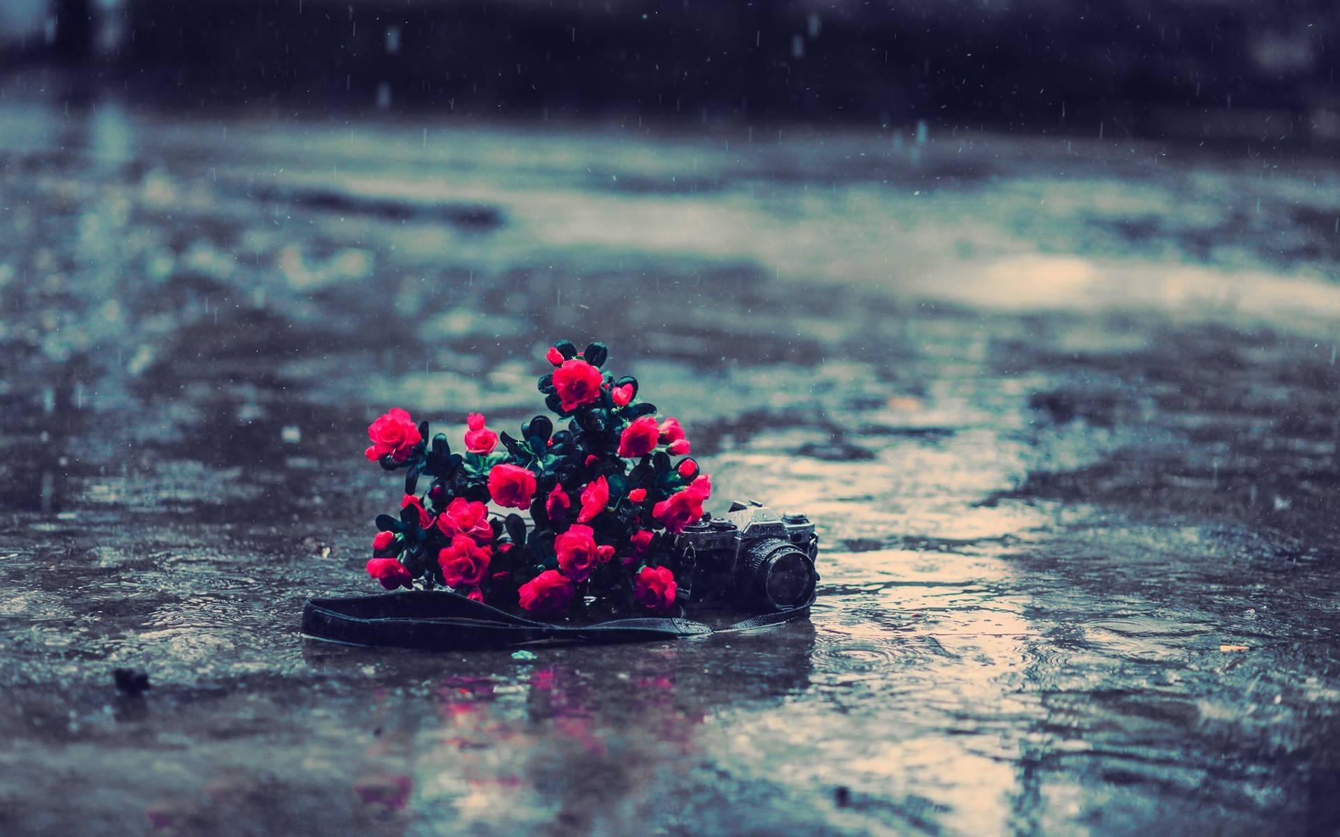 Sad Rainy Wallpapers - Top Free Sad Rainy Backgrounds - WallpaperAccess