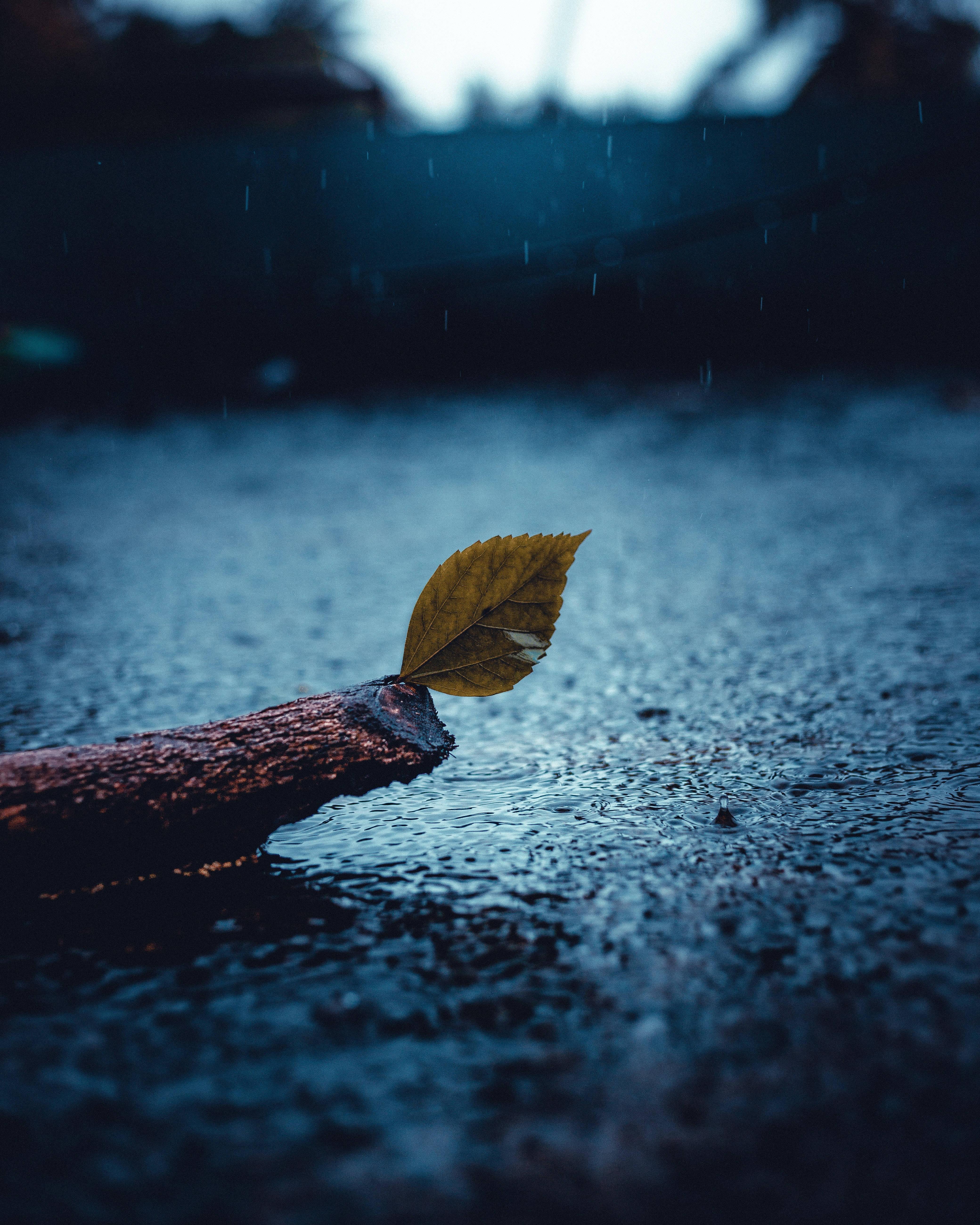 4160x5200 Download Sad Wallpaper