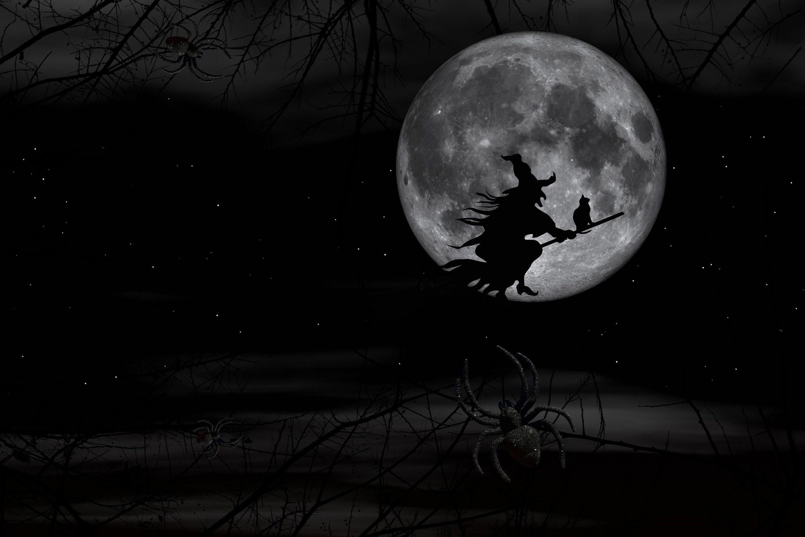 2560x1707 Scary Halloween Wallpaper 2021 HD, Background, Pumpkins, Witches, Bats & Ghosts