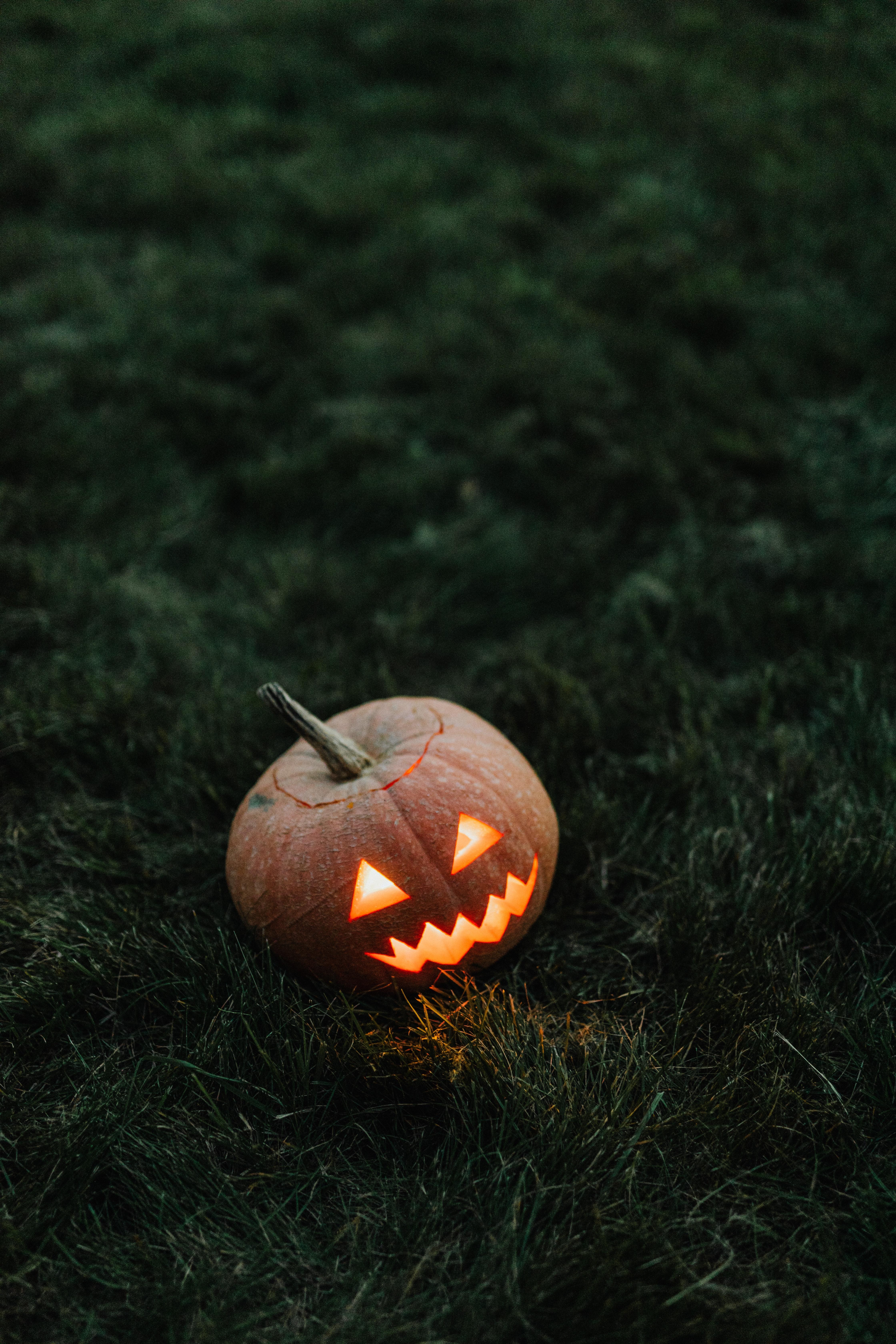 4480x6720 Halloween Background Photo, Download Free Halloween Background & HD Image