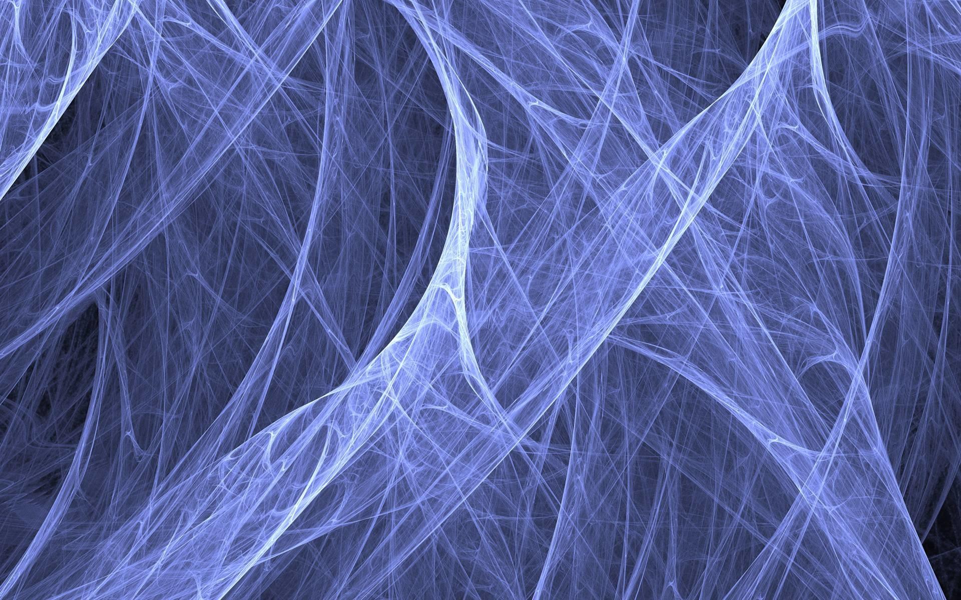 1920x1200 Spider Web Background