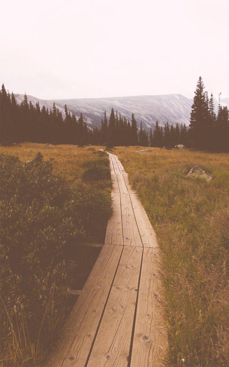 757x1214 Beautiful landscape long bridge across field Wallpaper