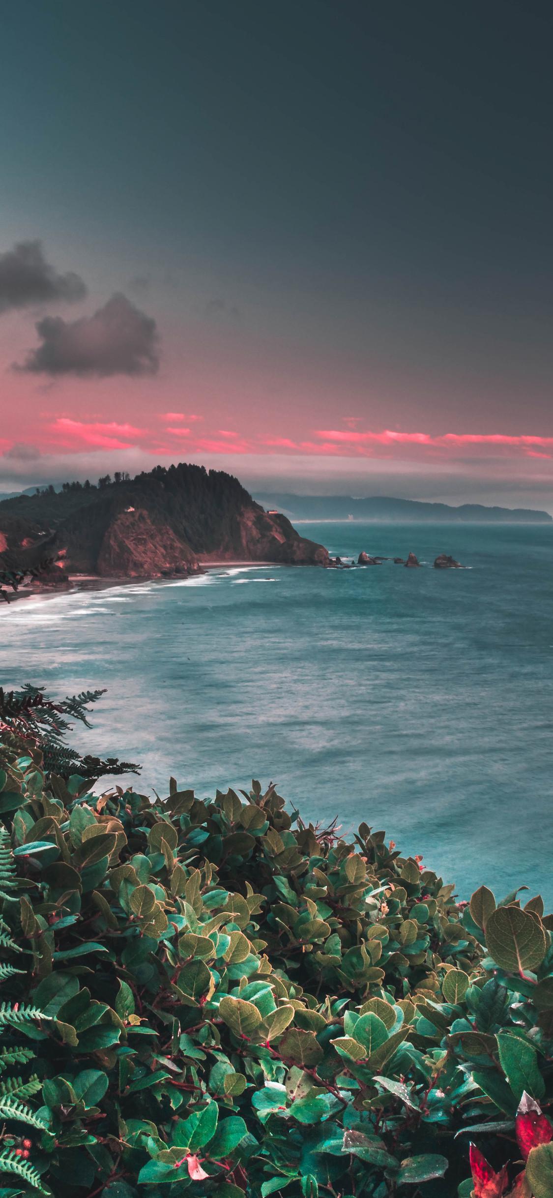 1125x2436 Outdoor Beautiful Landscape iPhone XS, iPhone iPhone X HD 4k Wallpaper, Image, Background, Photo and Picture