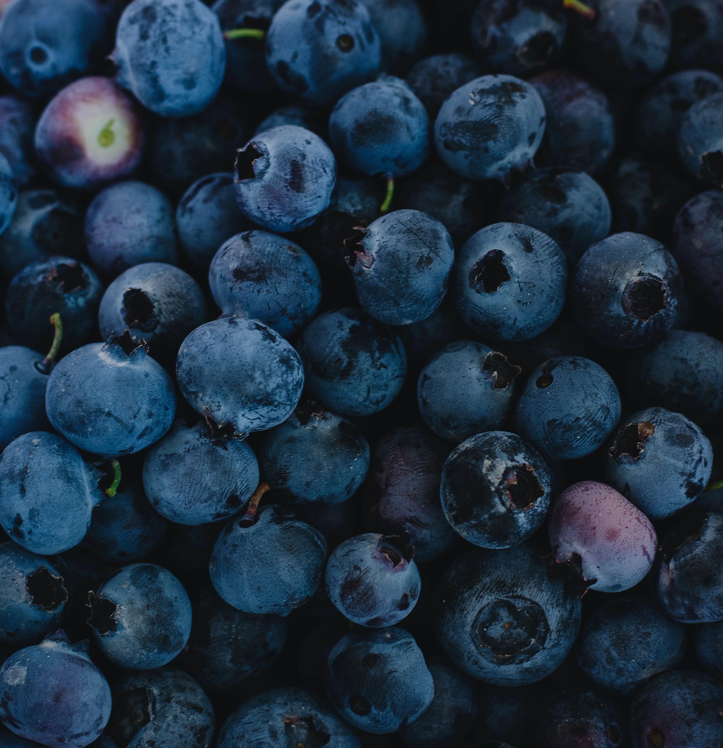 2454x2541 Close Up Photo Of Blueberries · Free