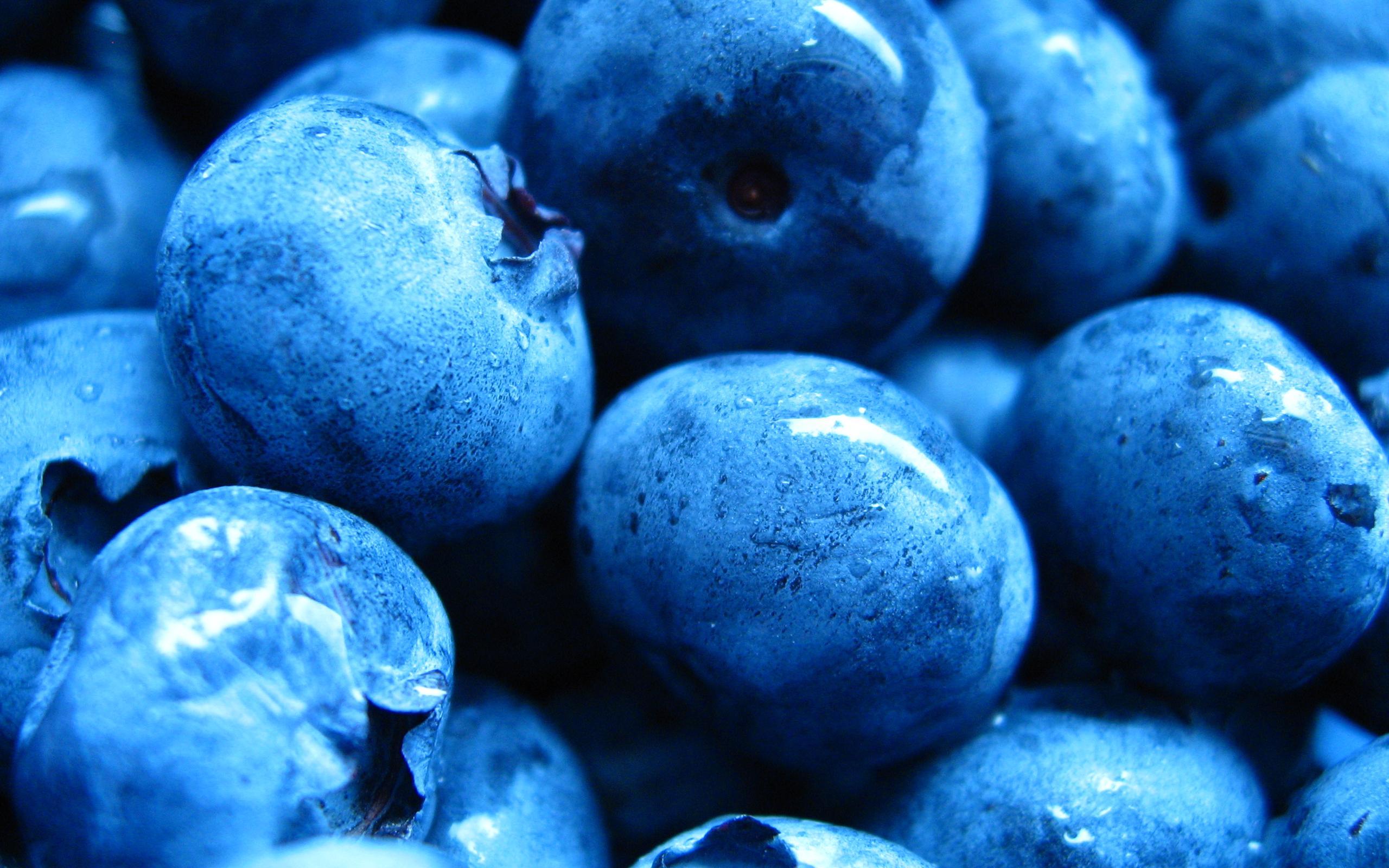 2560x1600 Fruits macro blueberries wallpaperx1600