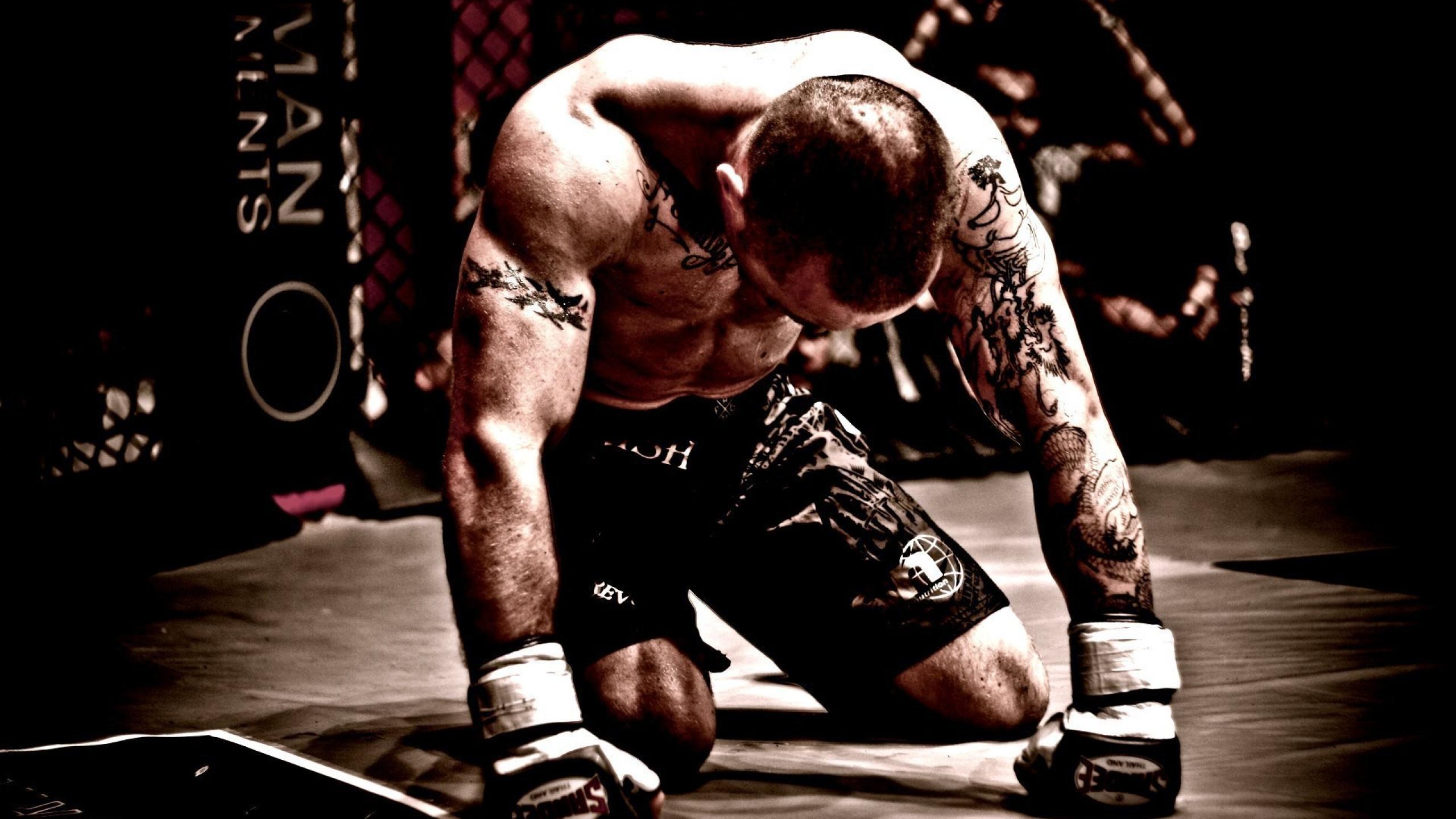 2560x1440 mma, mixed martial arts, fighter 1440P Resolution Wallpaper, HD Sports 4K Wallpaper, Image, Photo and Background