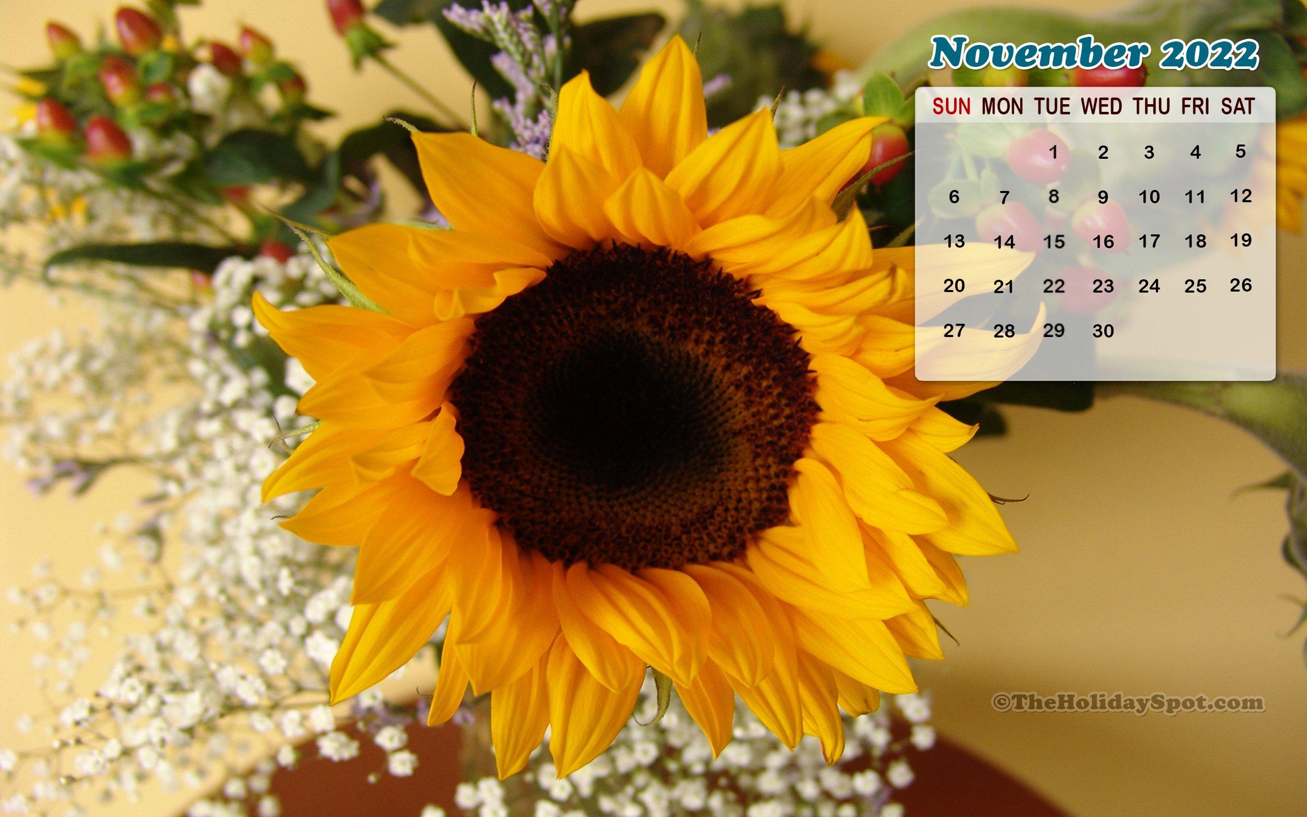 2560x1600 November 2022 Calendar Wallpaper
