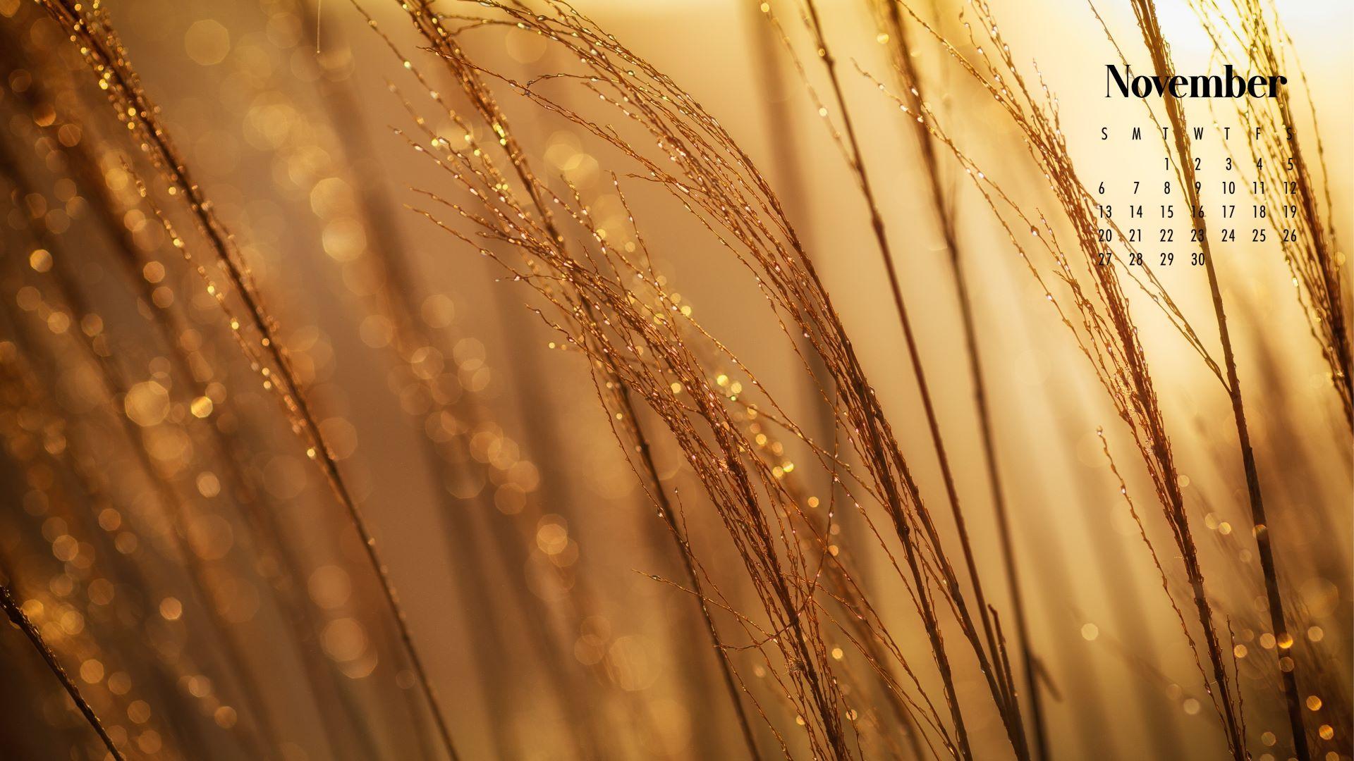 1920x1080 November Calendar Wallpaper Best Desktop & Phone Background