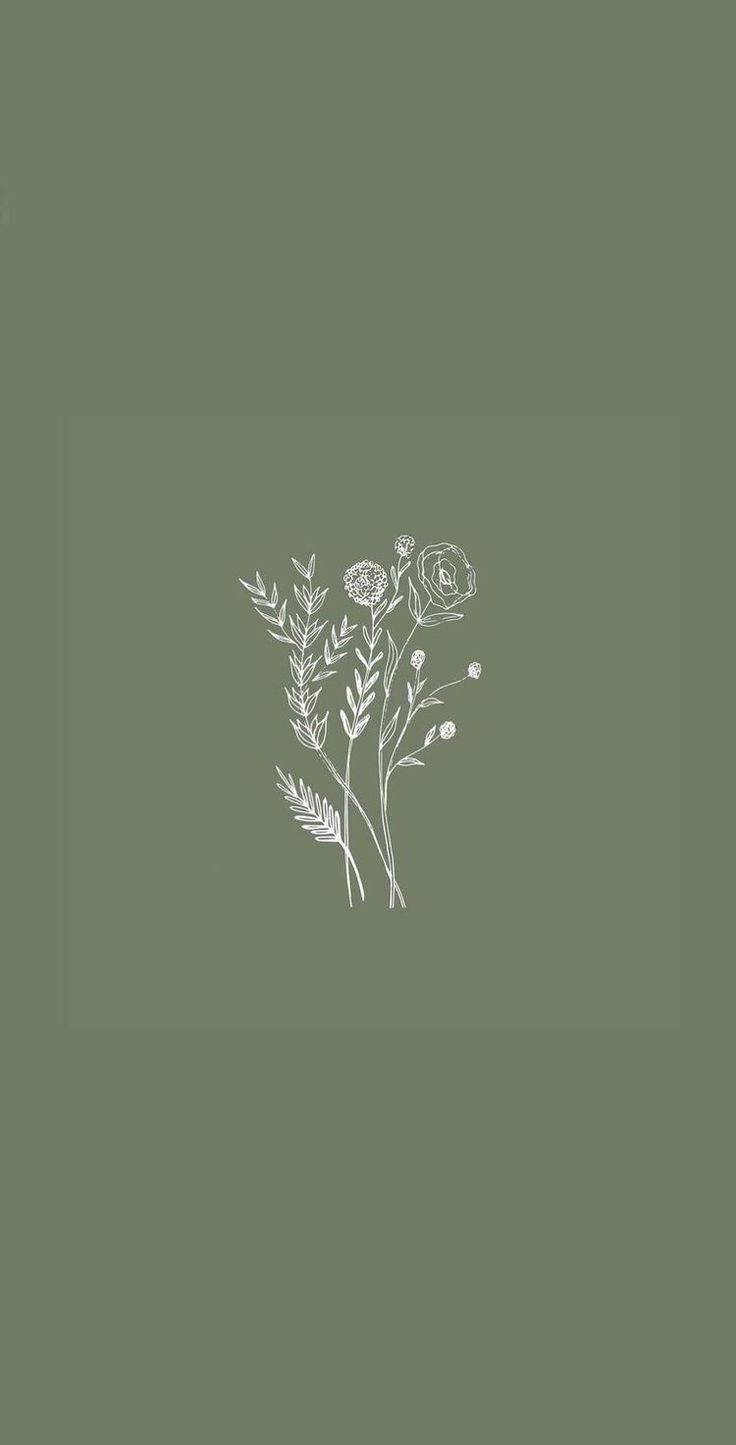 736x1445 Sage Green iPhone Wallpaper