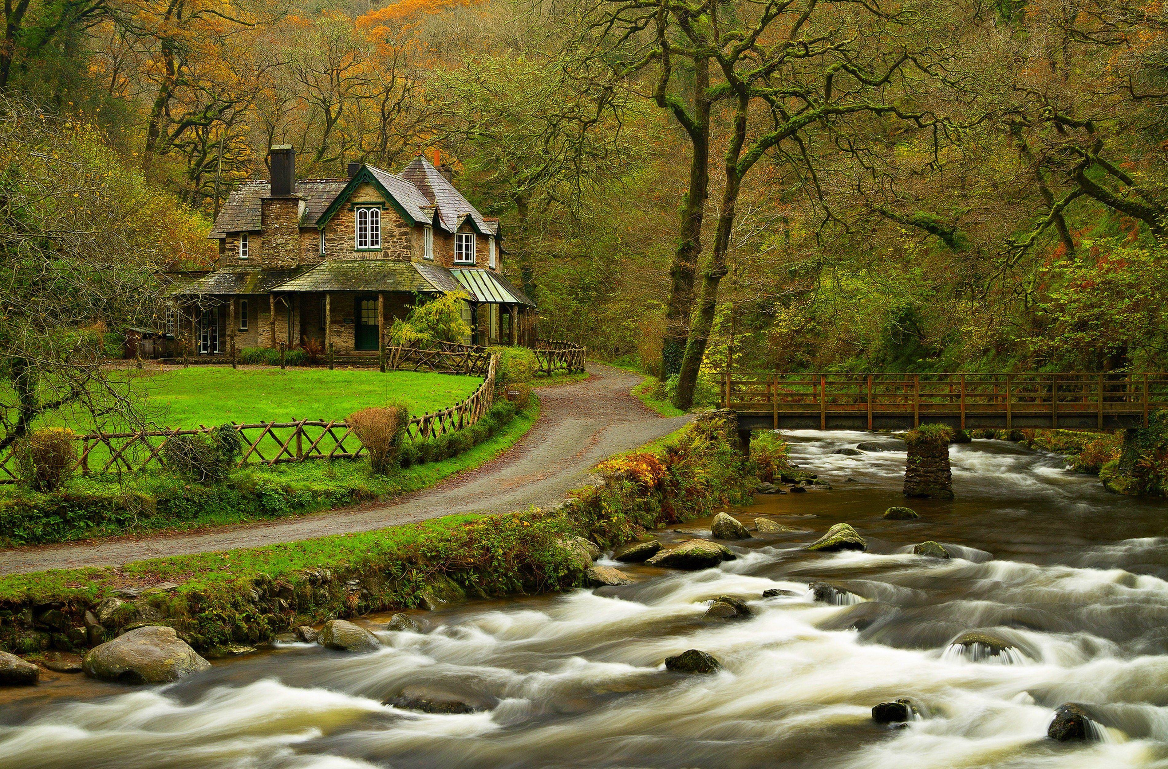 3800x2504 Forest Wallpaper For Home HD Image Full House River Water Park