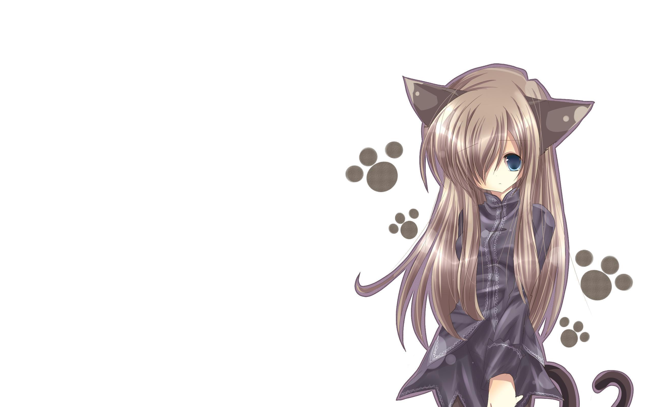 2560x1600 cat girl, nekomimi, art Wallpaper, HD Anime 4K Wallpaper, Image and Background