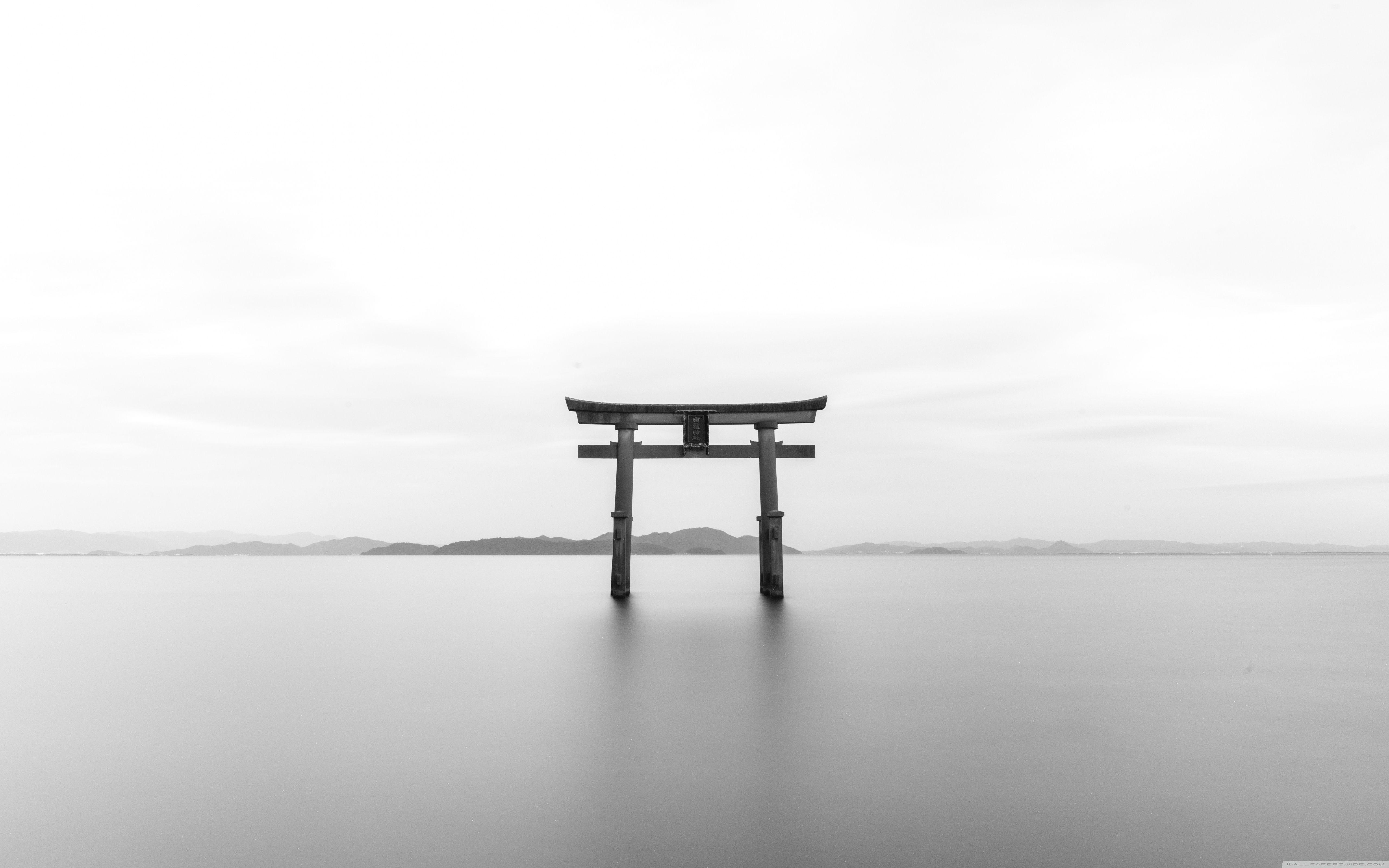 5120x3200 White Clean 4k Wallpaper