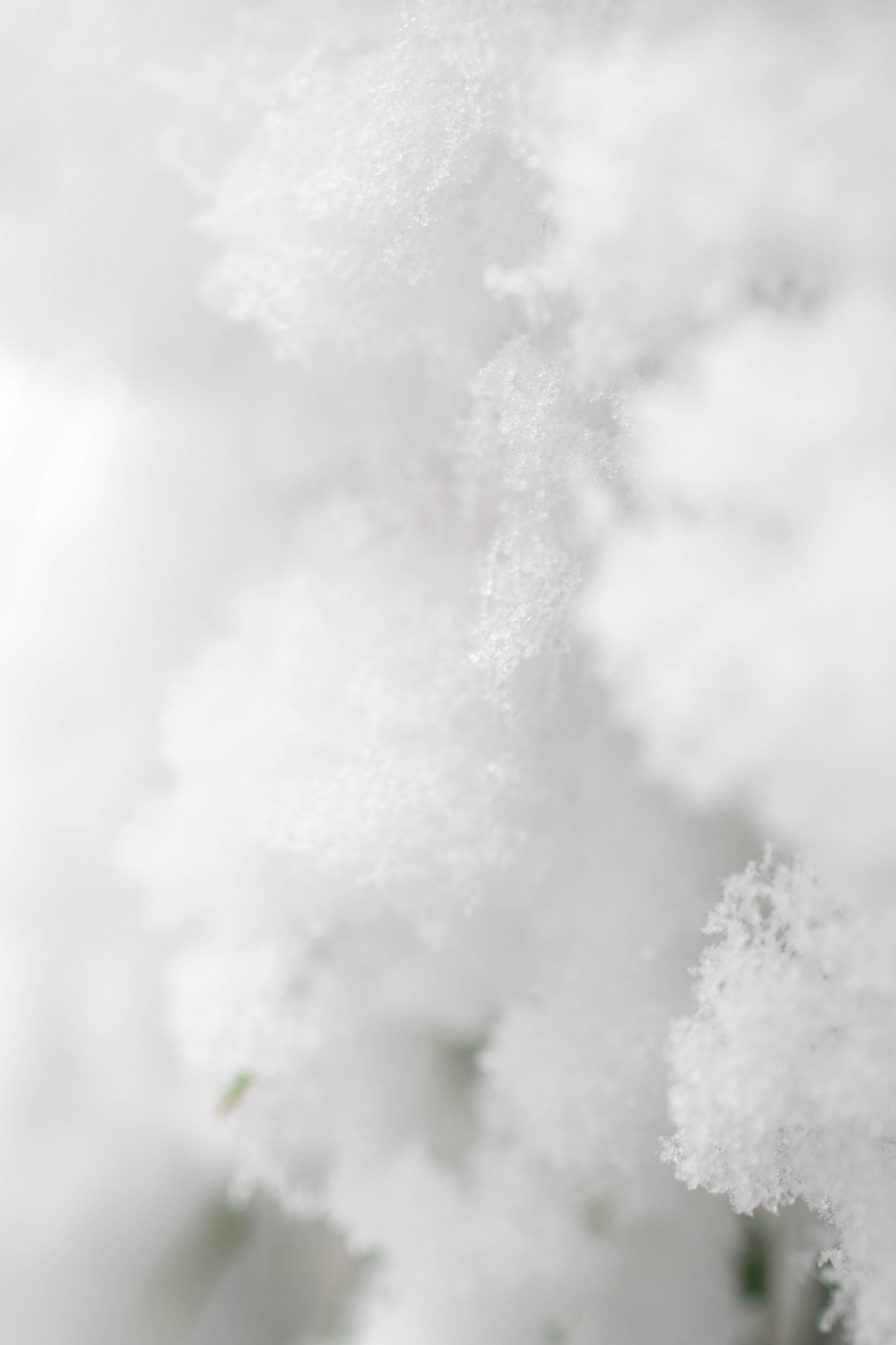 3712x5568 Plain White Wallpaper Photo, Download Free Plain White Wallpaper & HD Image