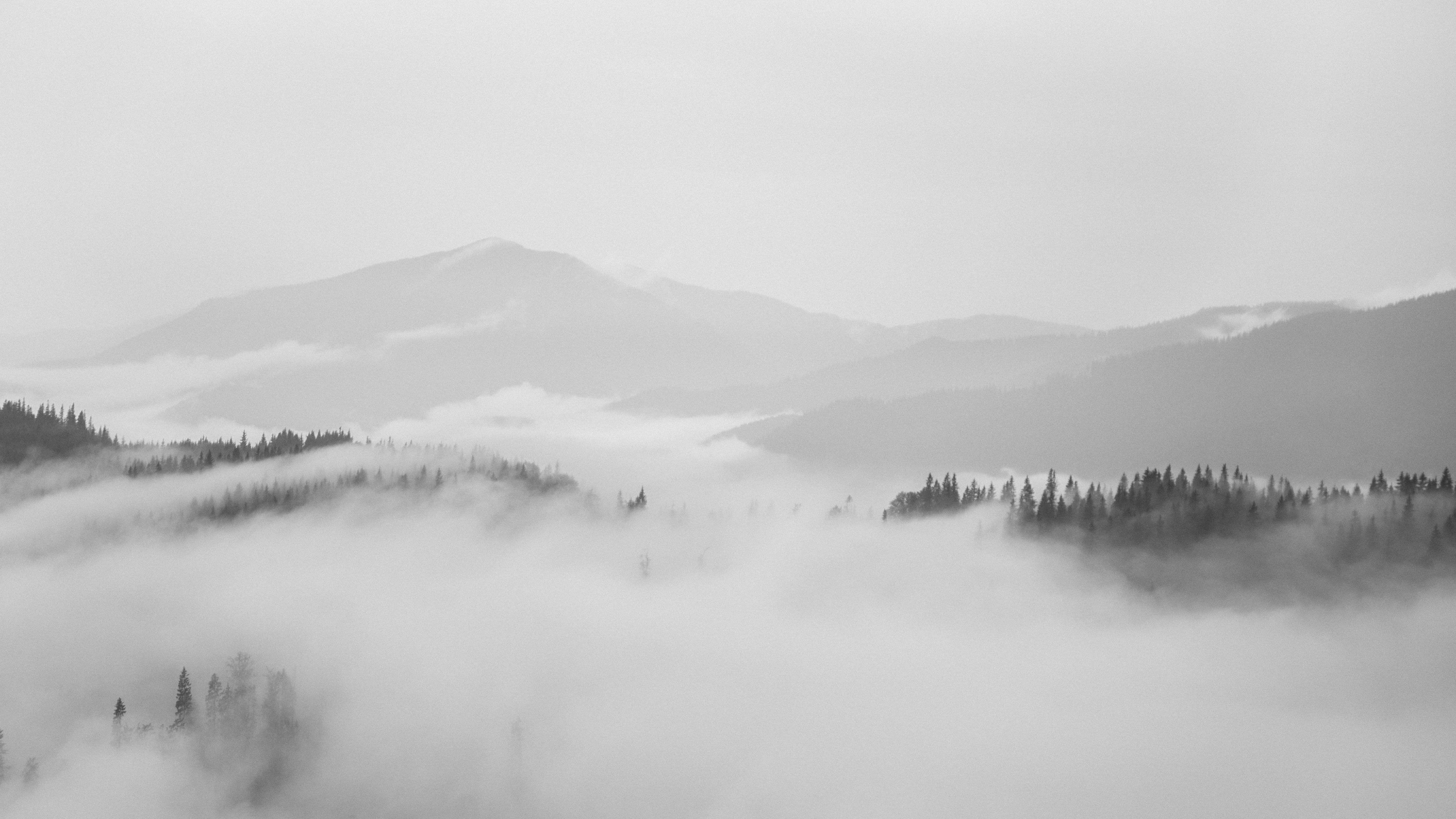 5472x3078 Wallpaper Romania, Rarău, Foggy, Clean, Clear, White, Bw. Desktop wallpaper black, White desktop background, Black and white landscape
