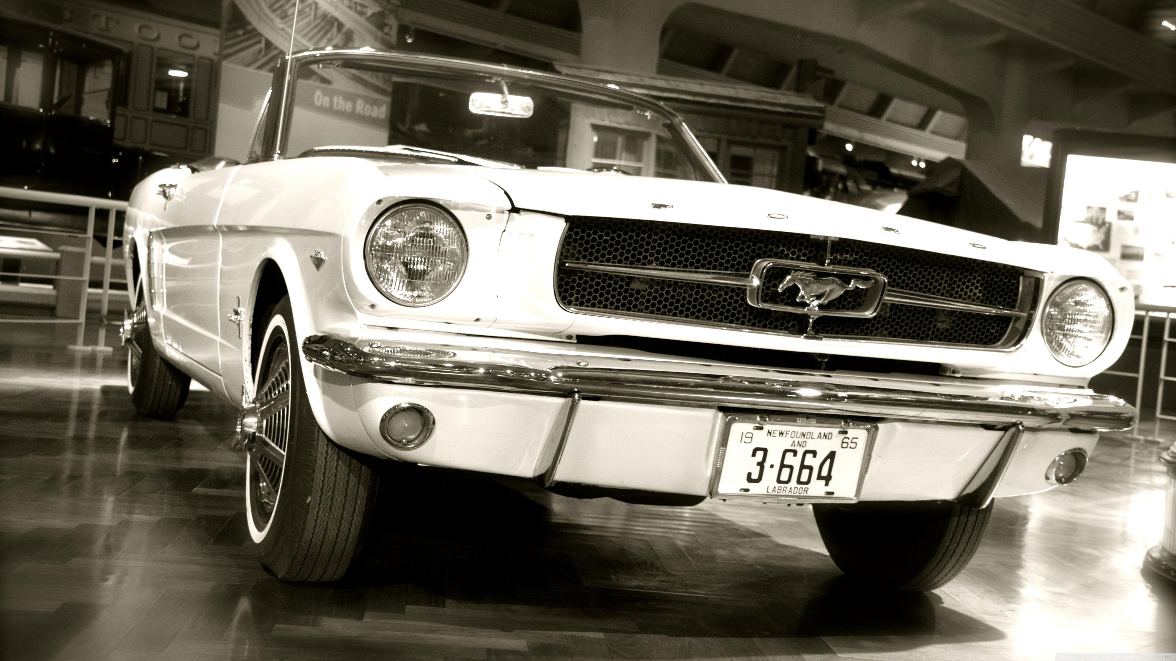 3840x2160 Mustang!!! ❤ 4K HD Desktop Wallpaper for 4K Ultra HD TV • Wide