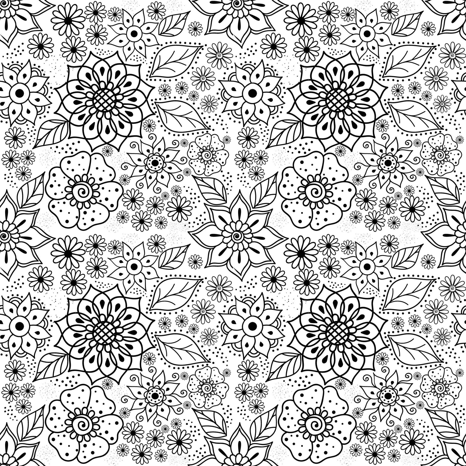 Black and White Abstract Floral Wallpapers Top Free Black and White
