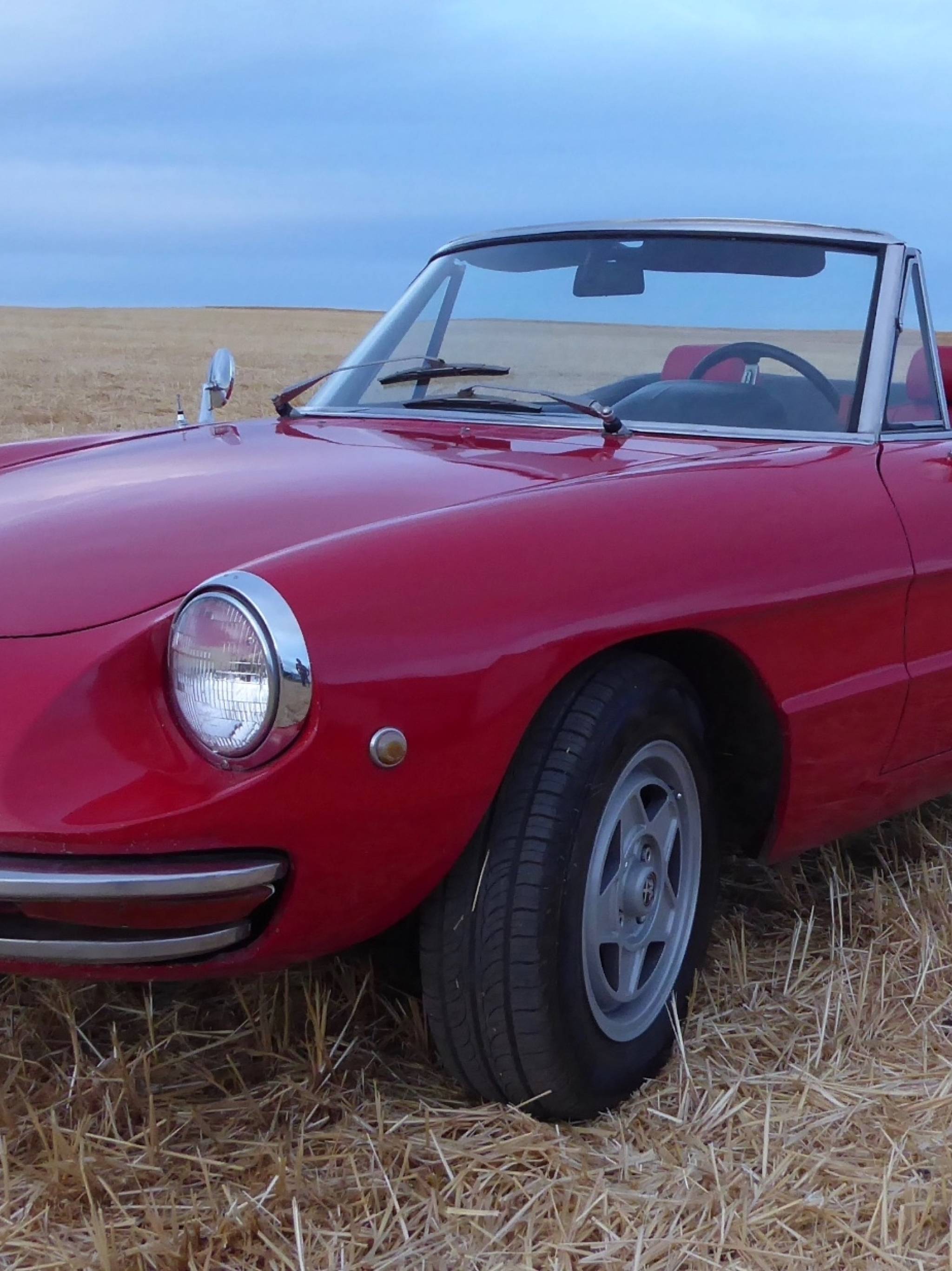 2048x2732 Alfa Romeo Spider 1750 Series 1965 2048x2732 Resolution Wallpaper, HD Cars 4K Wallpaper, Image, Photo and Background