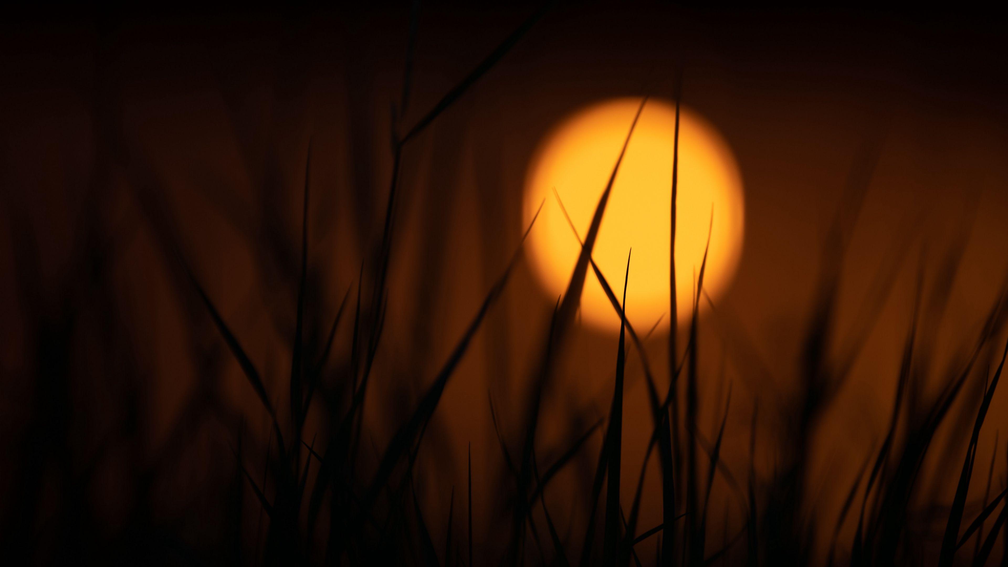 3840x2160 Wallpaper / grass, sun, dark, dusk, sunset, 4k free download