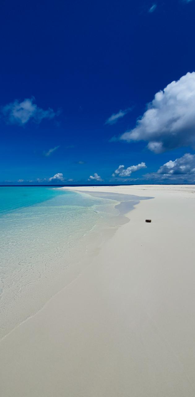 630x1280 white sand beach wallpaper
