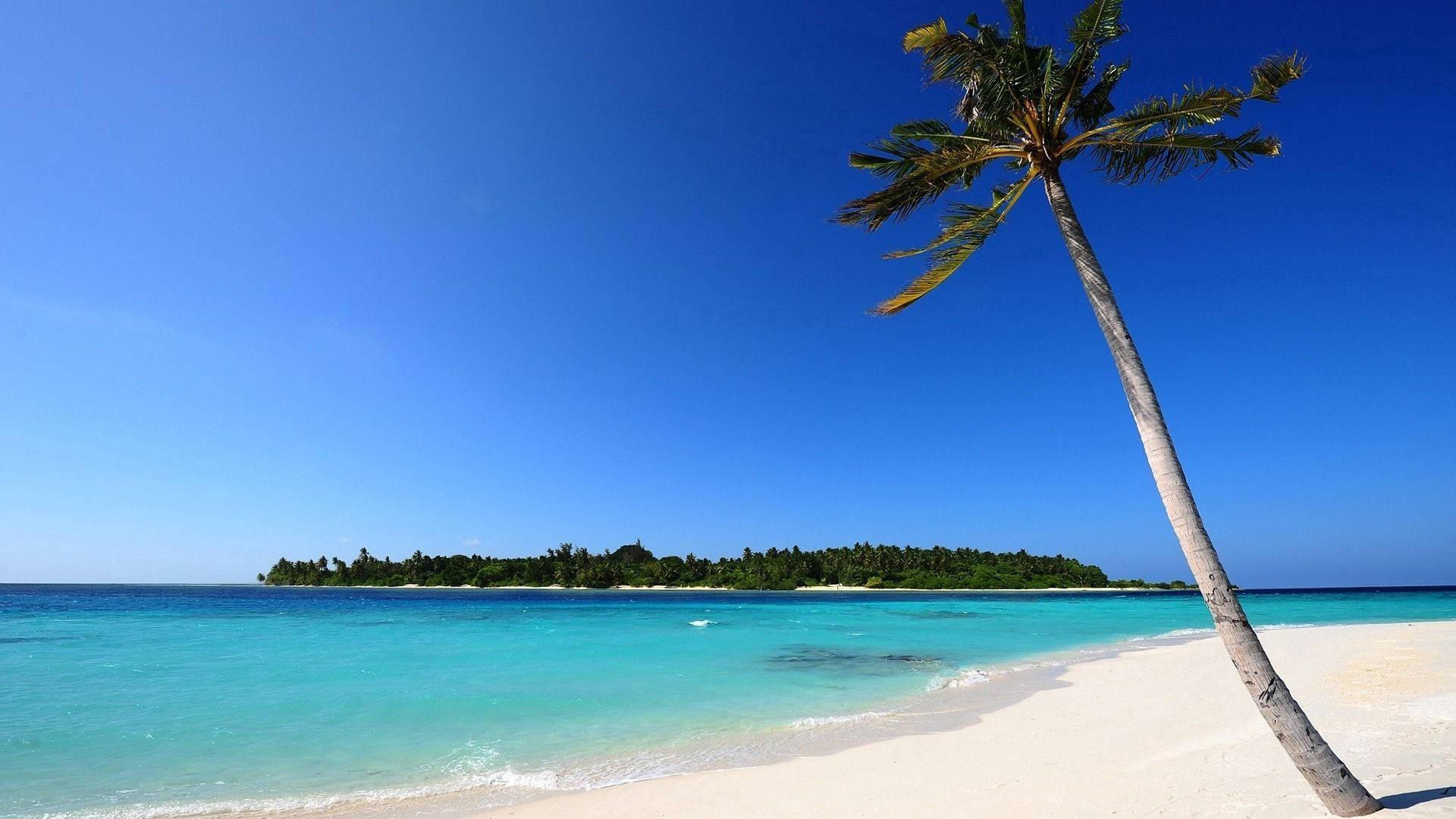 1920x1080 Download White Sand Beach Palm Trees Wallpaper