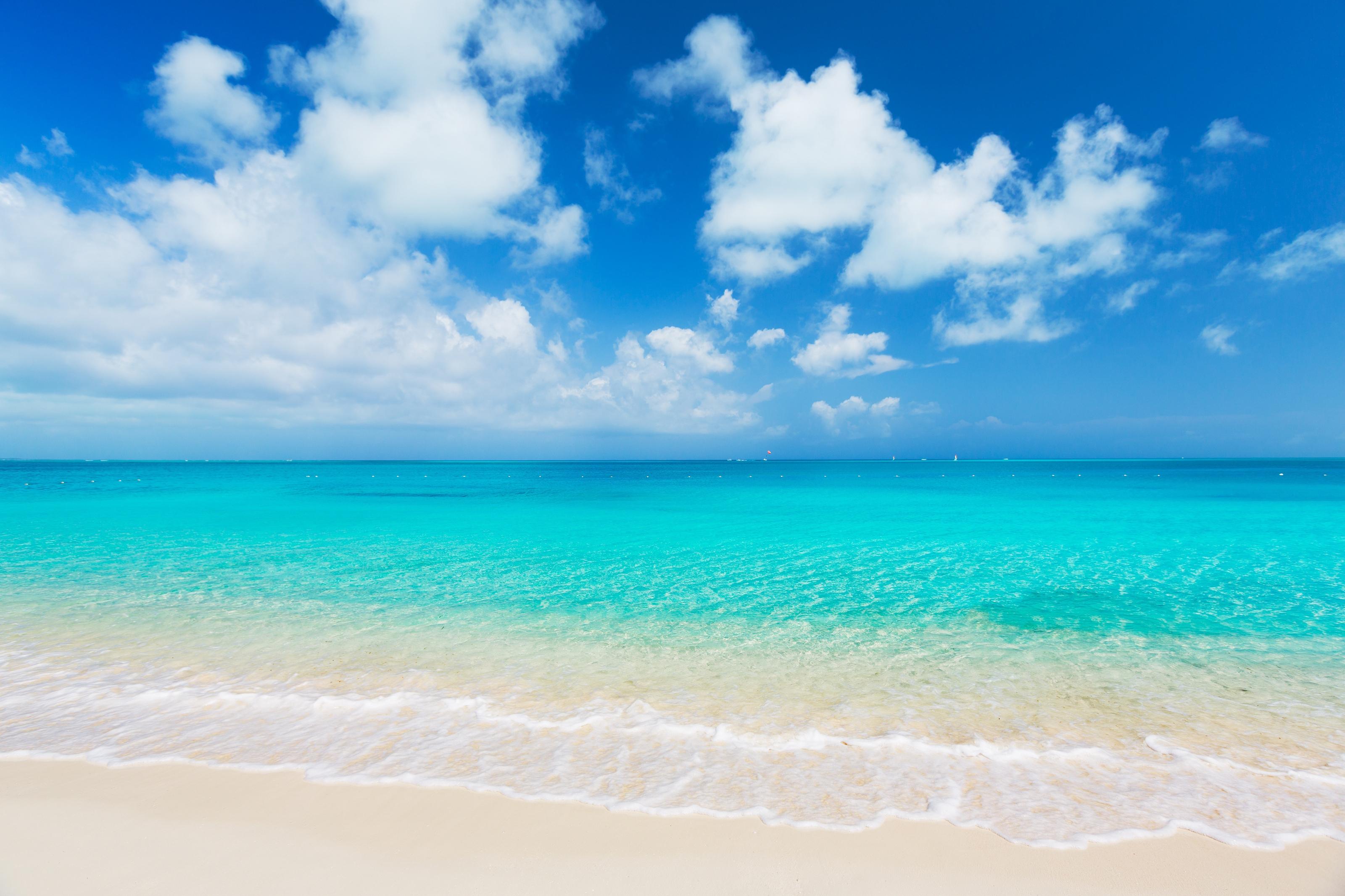 3200x2133 Tropical White Sand Beach Wall Mural Your Way