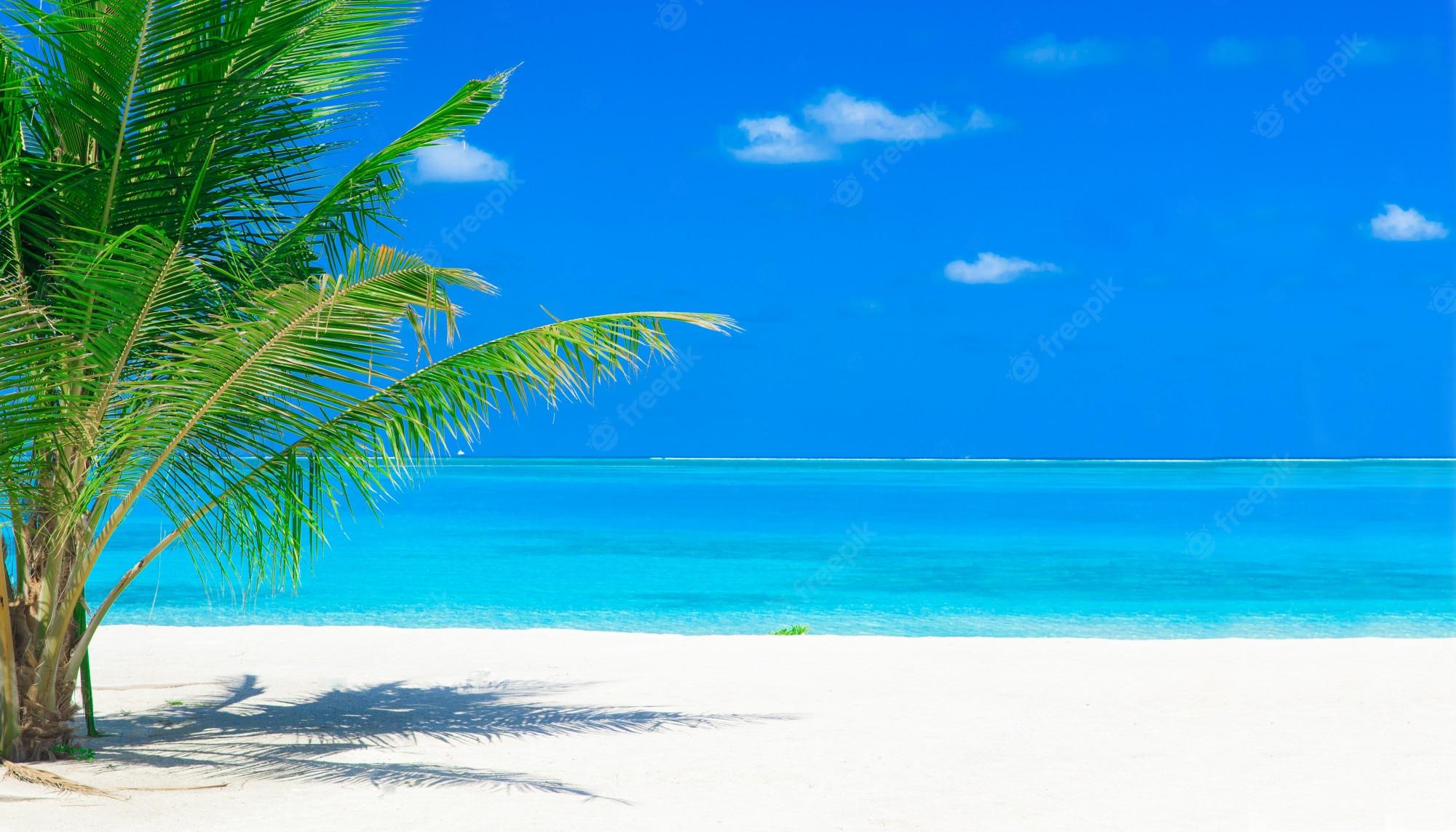 2000x1143 Beach wallpaper Image. Free Vectors, & PSD