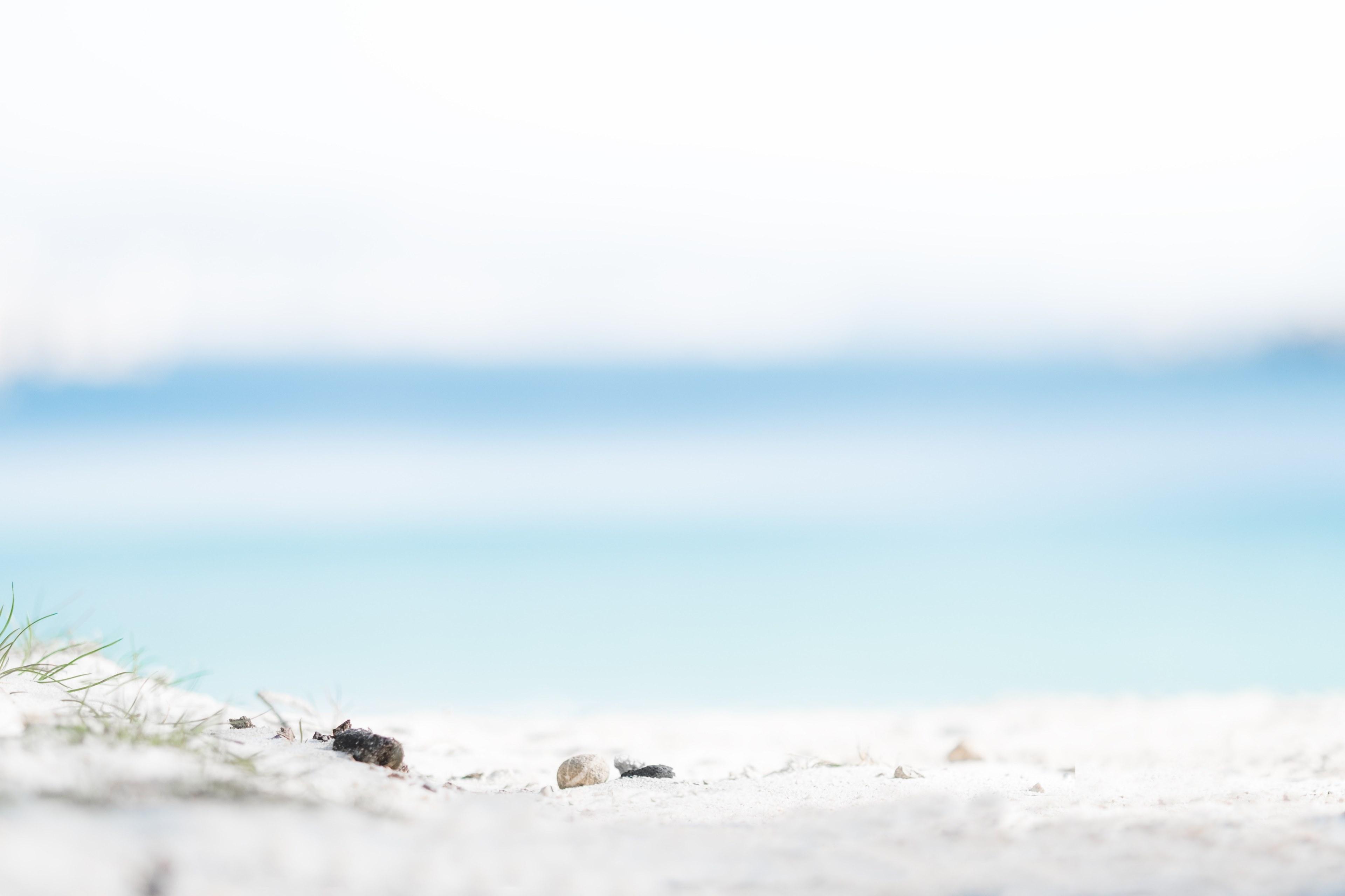 3840x2560 Wallpaper / white sand beach in focus in marseille, petit poucet 4k wallpaper free download